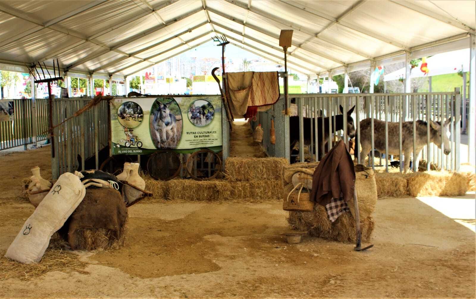 Búscate en las imágenes de la Feria de Vejer 2024