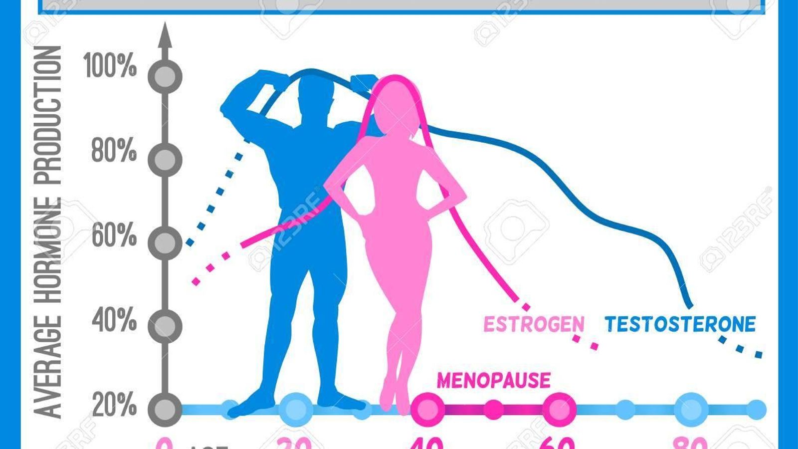 Producción de hormonas sexuales en hombres y mujeres-porcentaje promedio edades