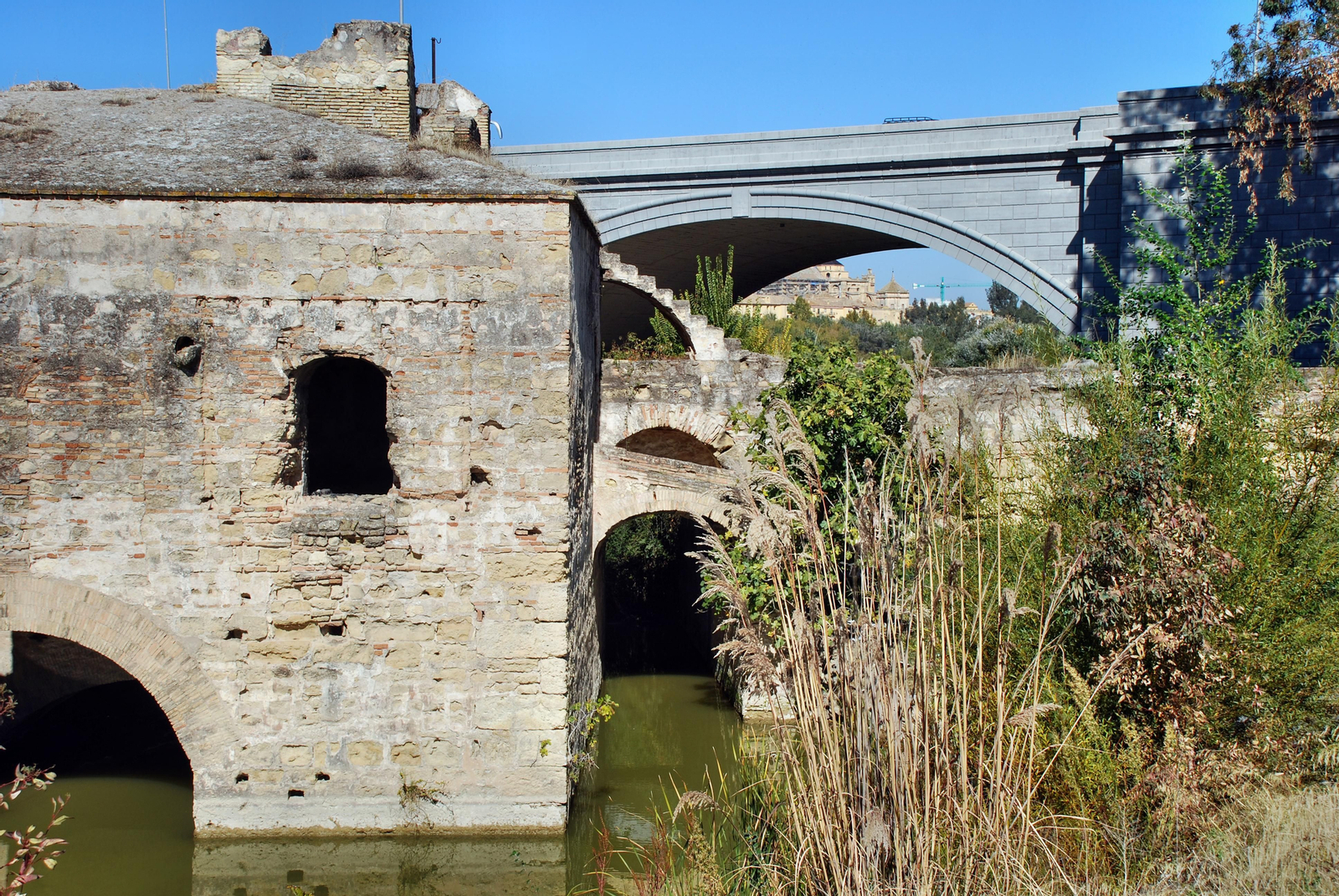 Historia de los molinos del Guadalquivir cordobés en fotografías