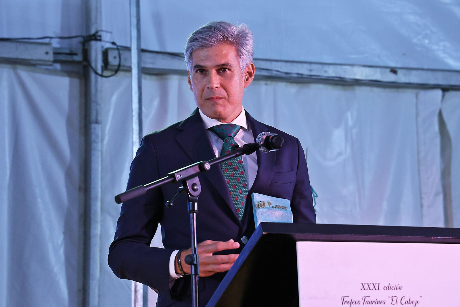 Imágenes de la entrega de los XXXI premios taurinos el Cabezo