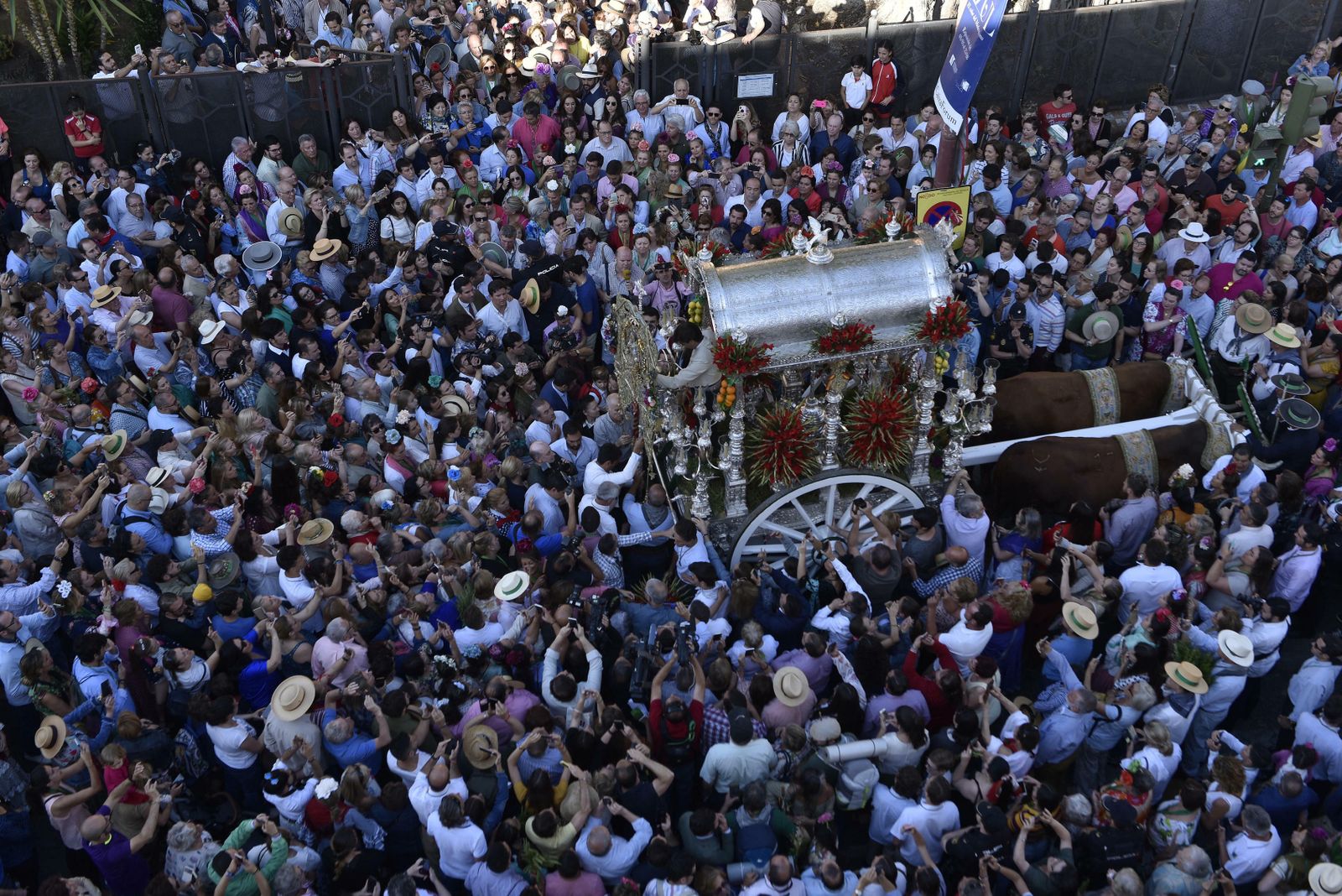 La salida de la Hermandad del Rocío de Triana, en imágenes