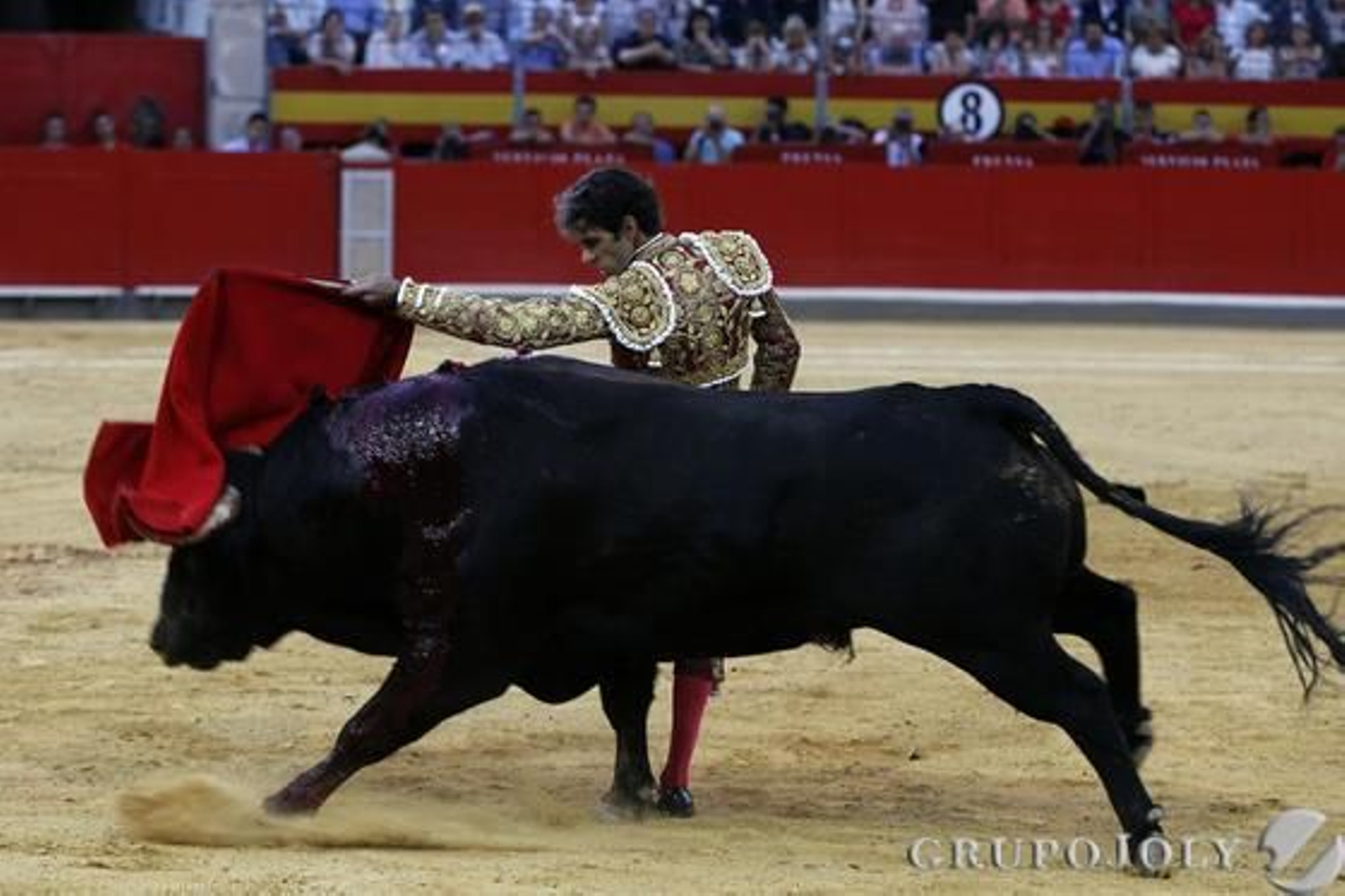 Foto: Pepe Villoslada