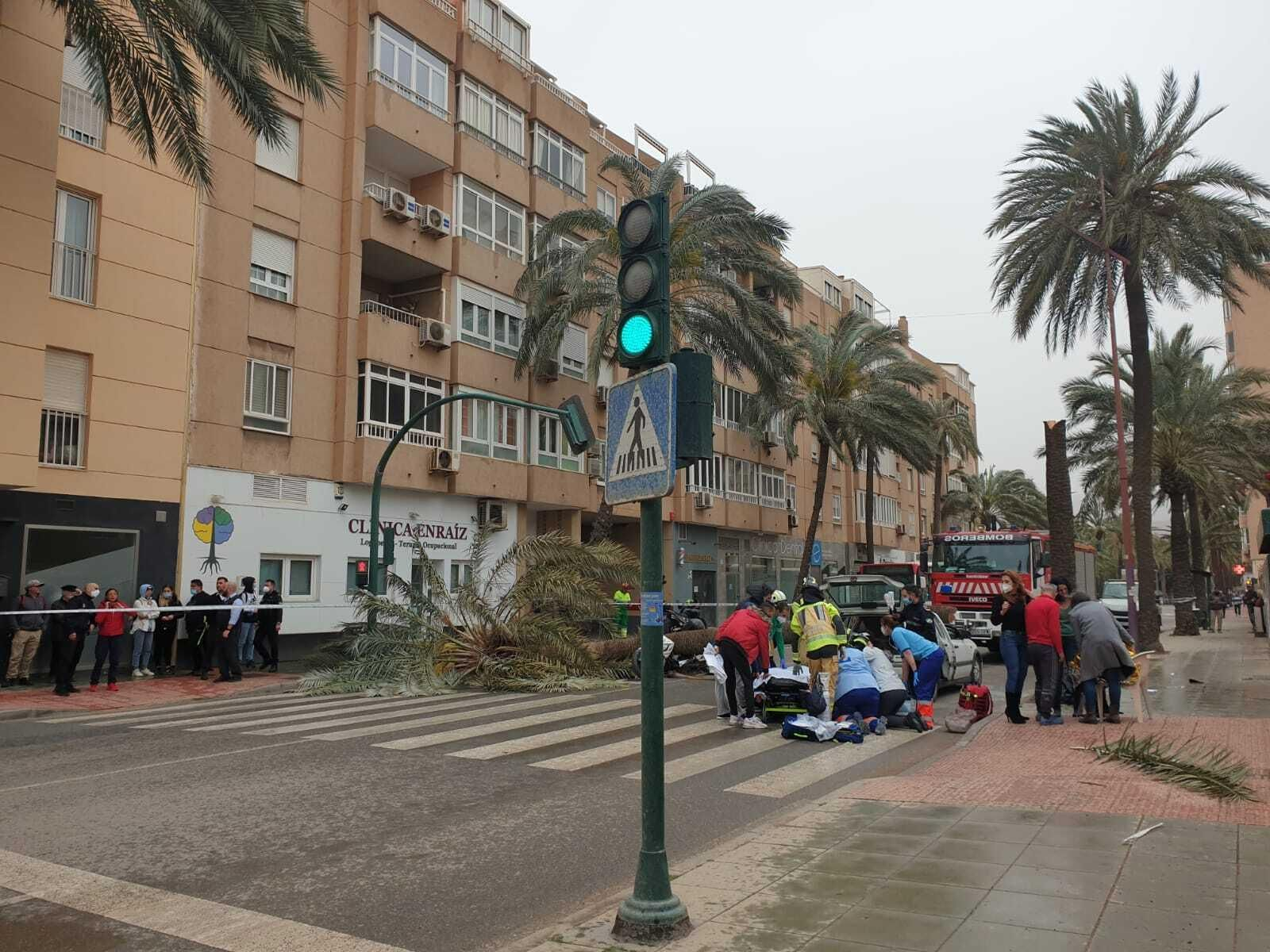 Una palmera causa un brutal accidente en Almería