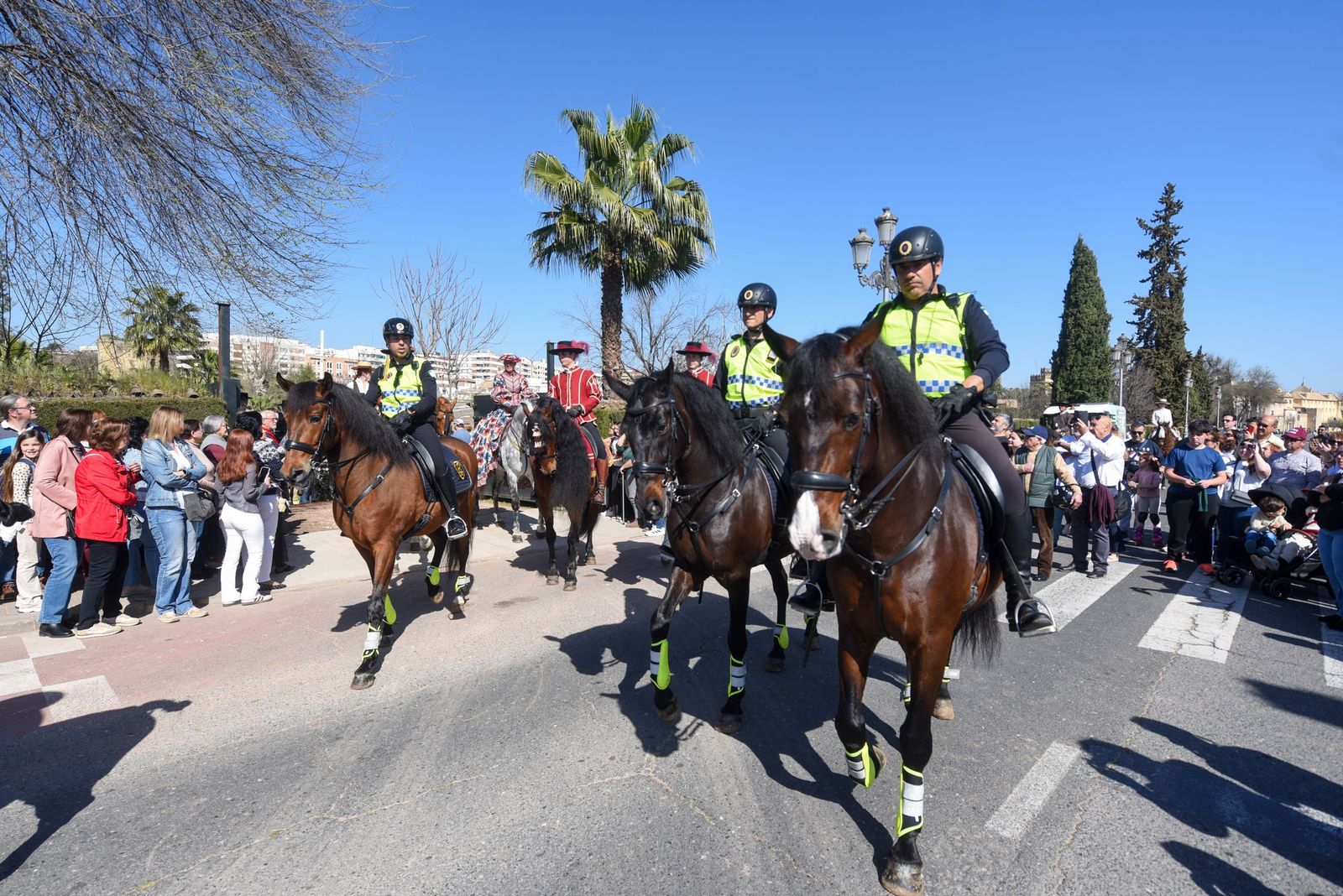 Las mejores imágenes de la Marcha Hípica Córdoba a Caballo del 28F de 2026