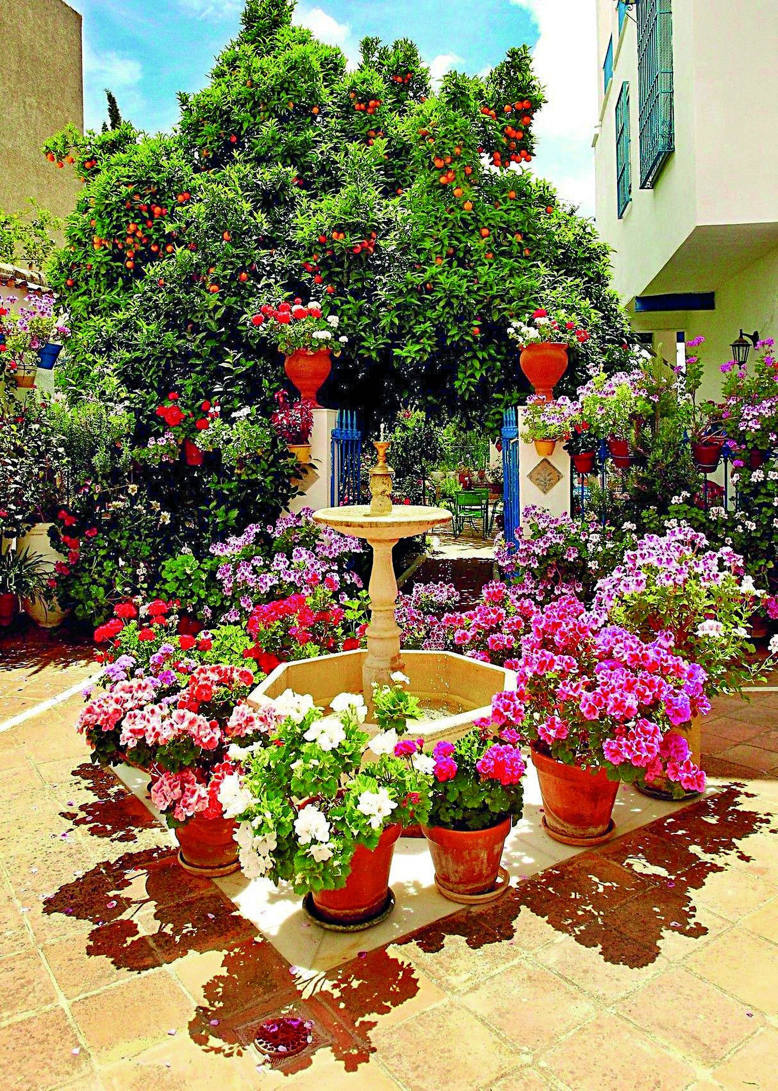 Patio del número 48 de la calle Salto de Rute