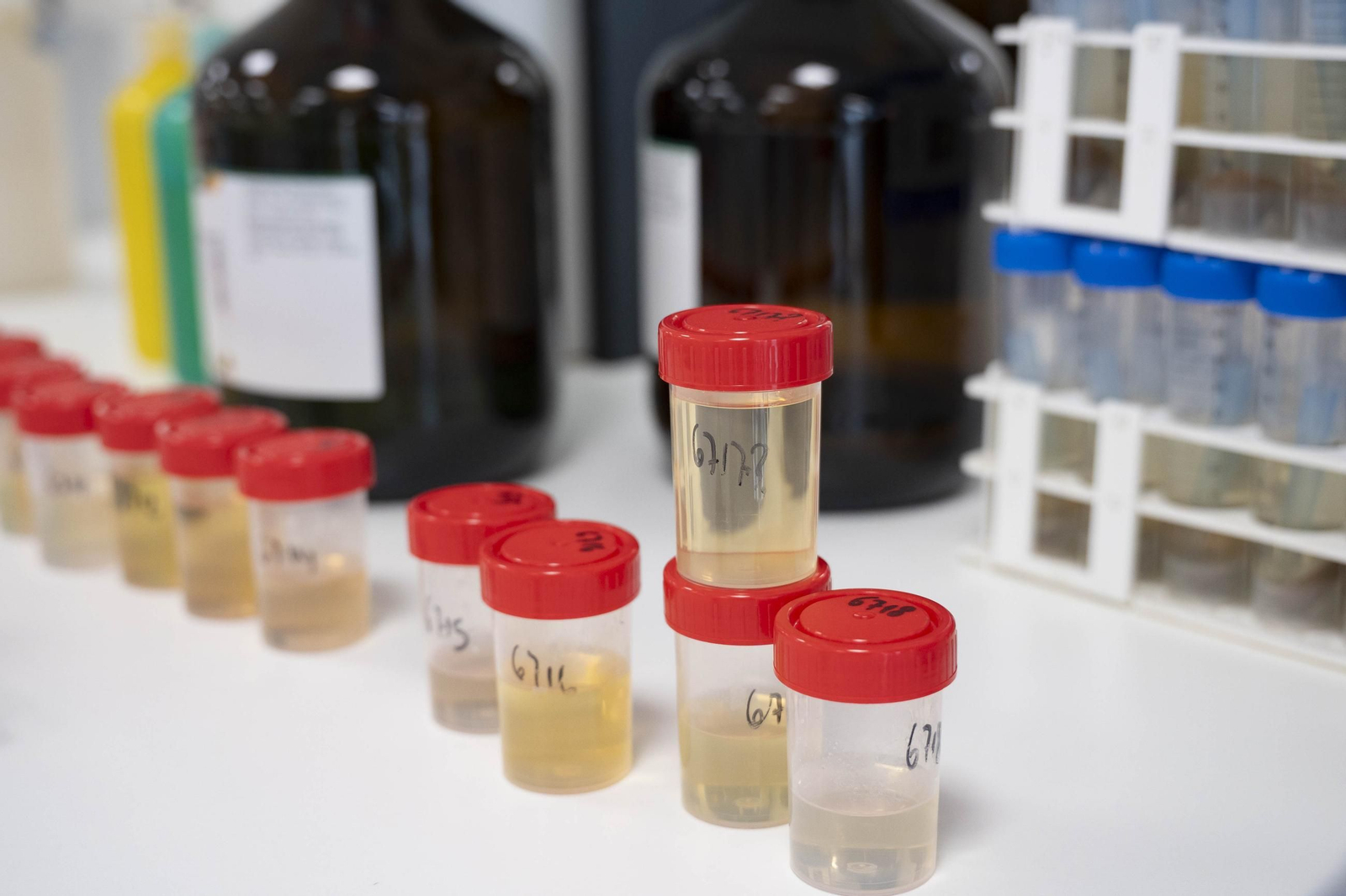 CIT COEX abre sus puertas al futuro: innovación, conocimiento y territorio