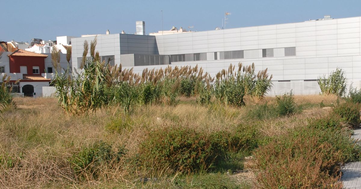 Siete meses y más 200.000 euros para redactar el proyecto de la piscina cubierta en San Fernando