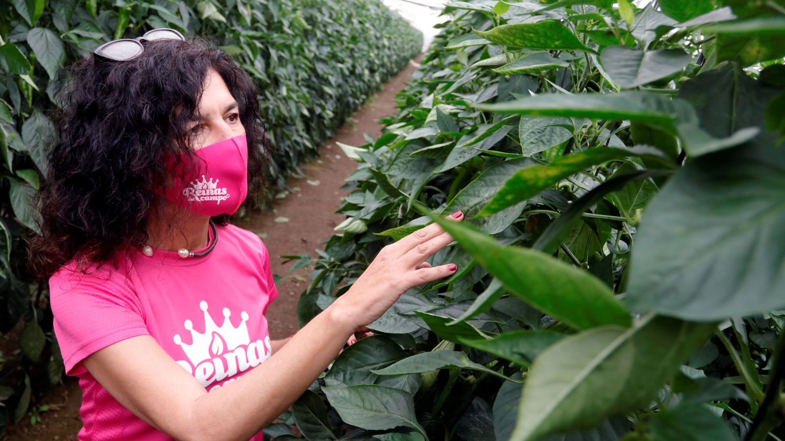 Las 'Reinas del Campo' de Almería.