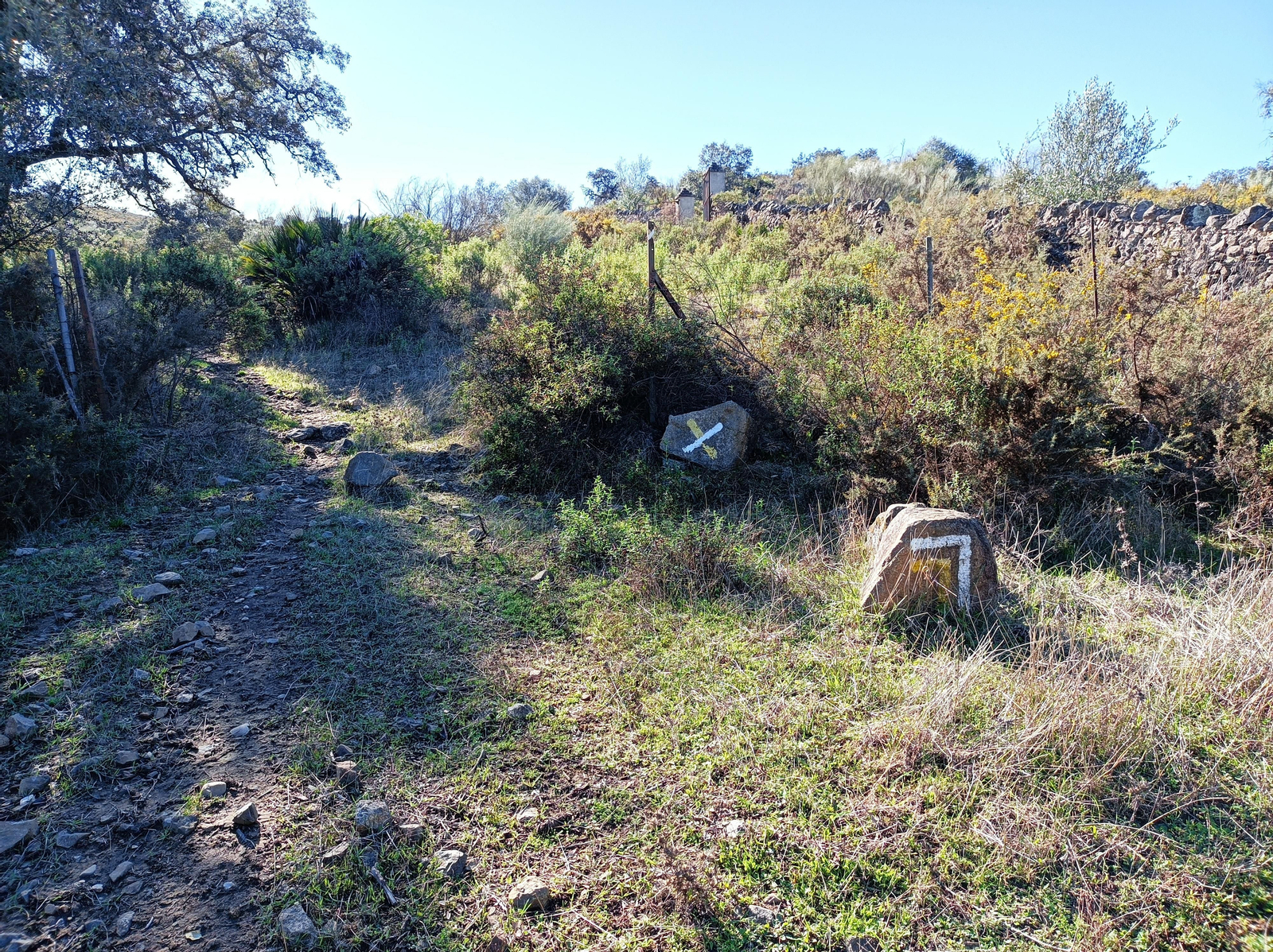 Ruta de Las Cañadillas