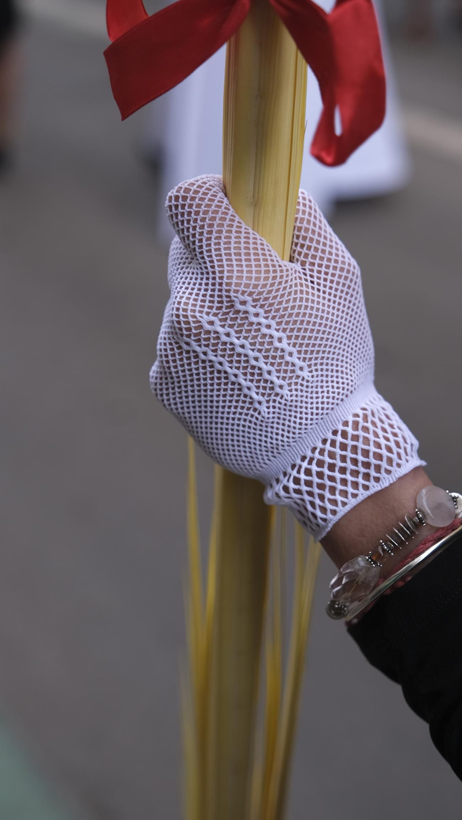 Imágenes de la Procesión de la Borriquita de Almería