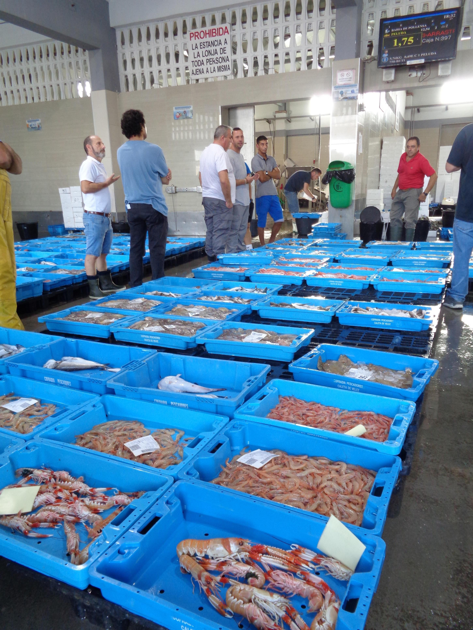 Pescadores y compradores en la subasta de pescado de la lonja.