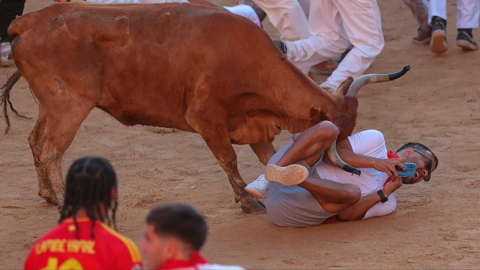 Un cabestro arrolla a un hombre, móvil en mano, en la plaza de toros de Pamplona este miércoles, durante el encierro de los toros de Álvaro Núñez.