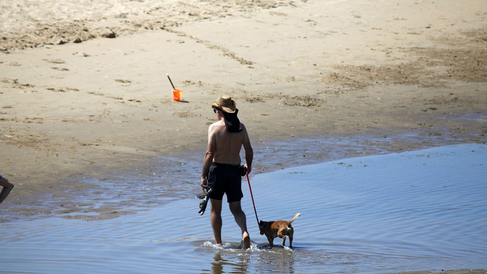Un bañista refresca a su perro en la zona habilitada para las mascotas.