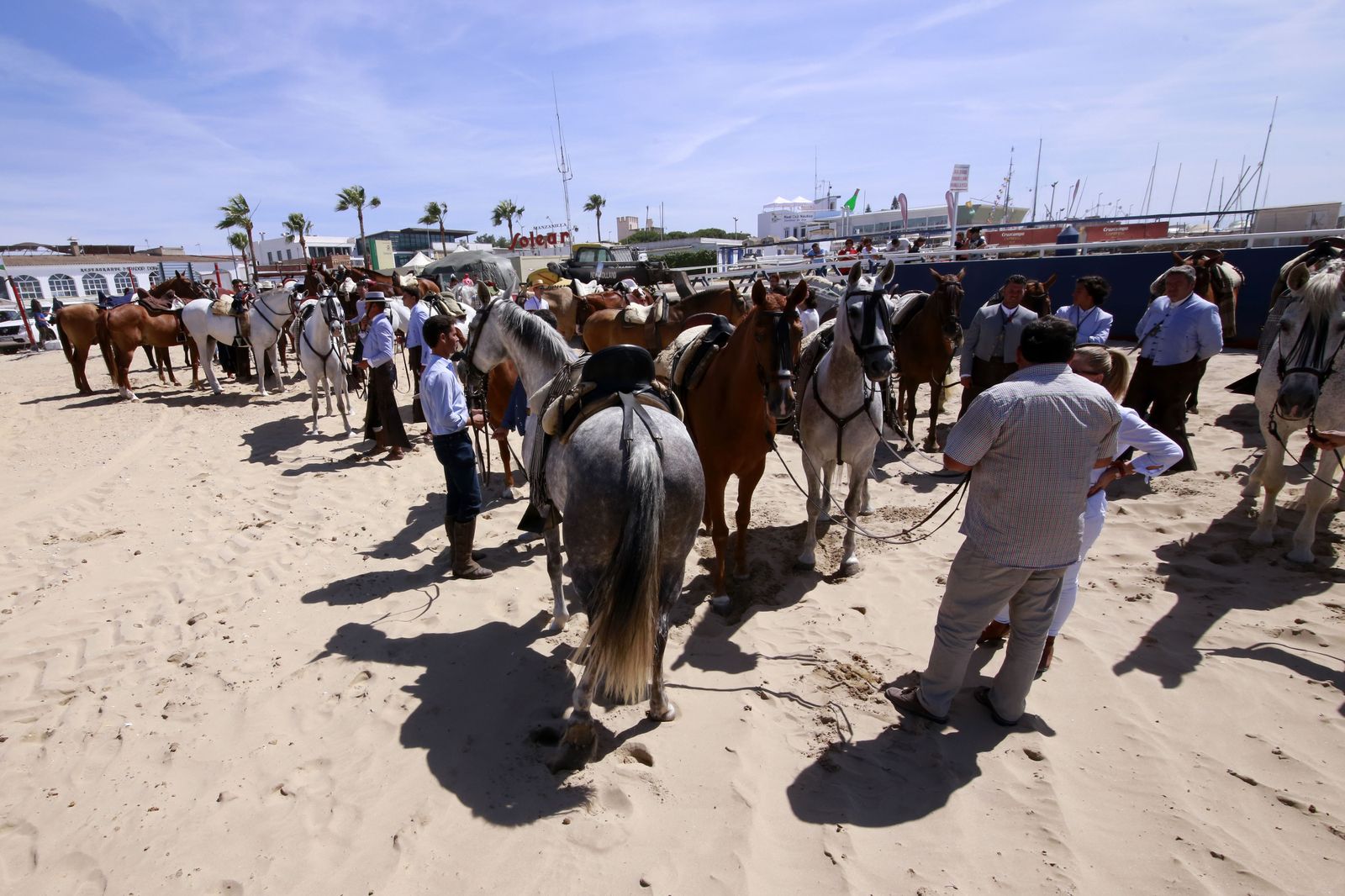 Primer día de camino de la hermandad de Jerez