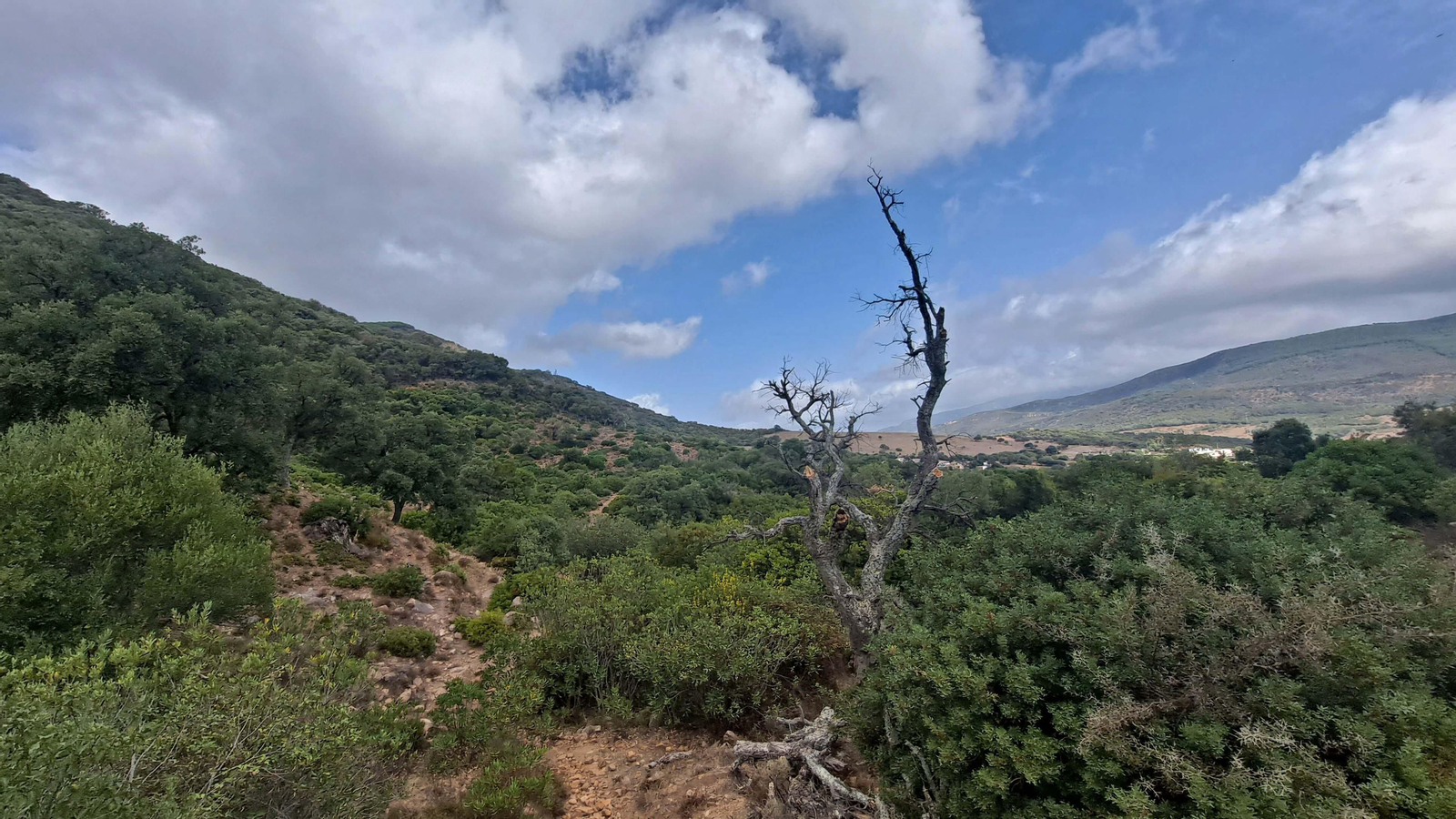 Fotos del sendero de la garganta del Rayo en Tarifa