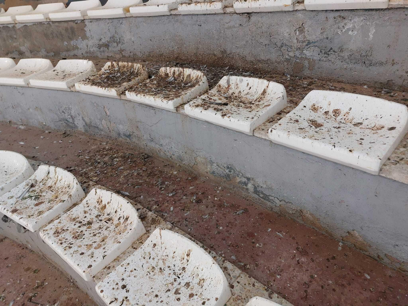 El pabellón de los horrores