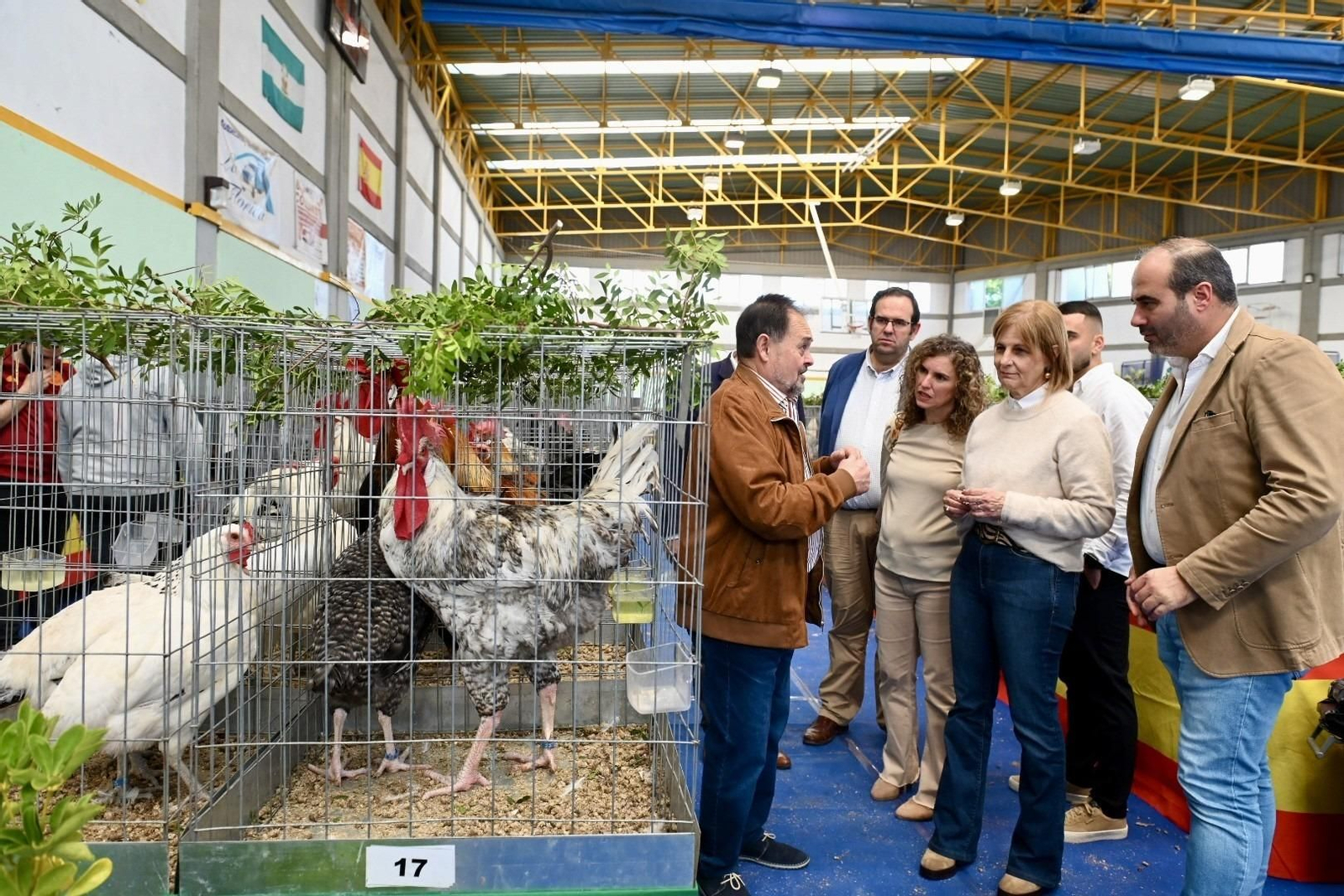 Imagen de la XI Exposición de Gallinas Autóctonas y otras aves (Avibarca) Imagen de la XI Exposición de Gallinas Autóctonas y otras aves (Avibarca)