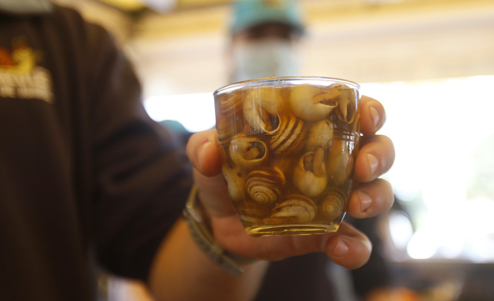 El comienzo de la temporada de caracoles 2022, en imágenes