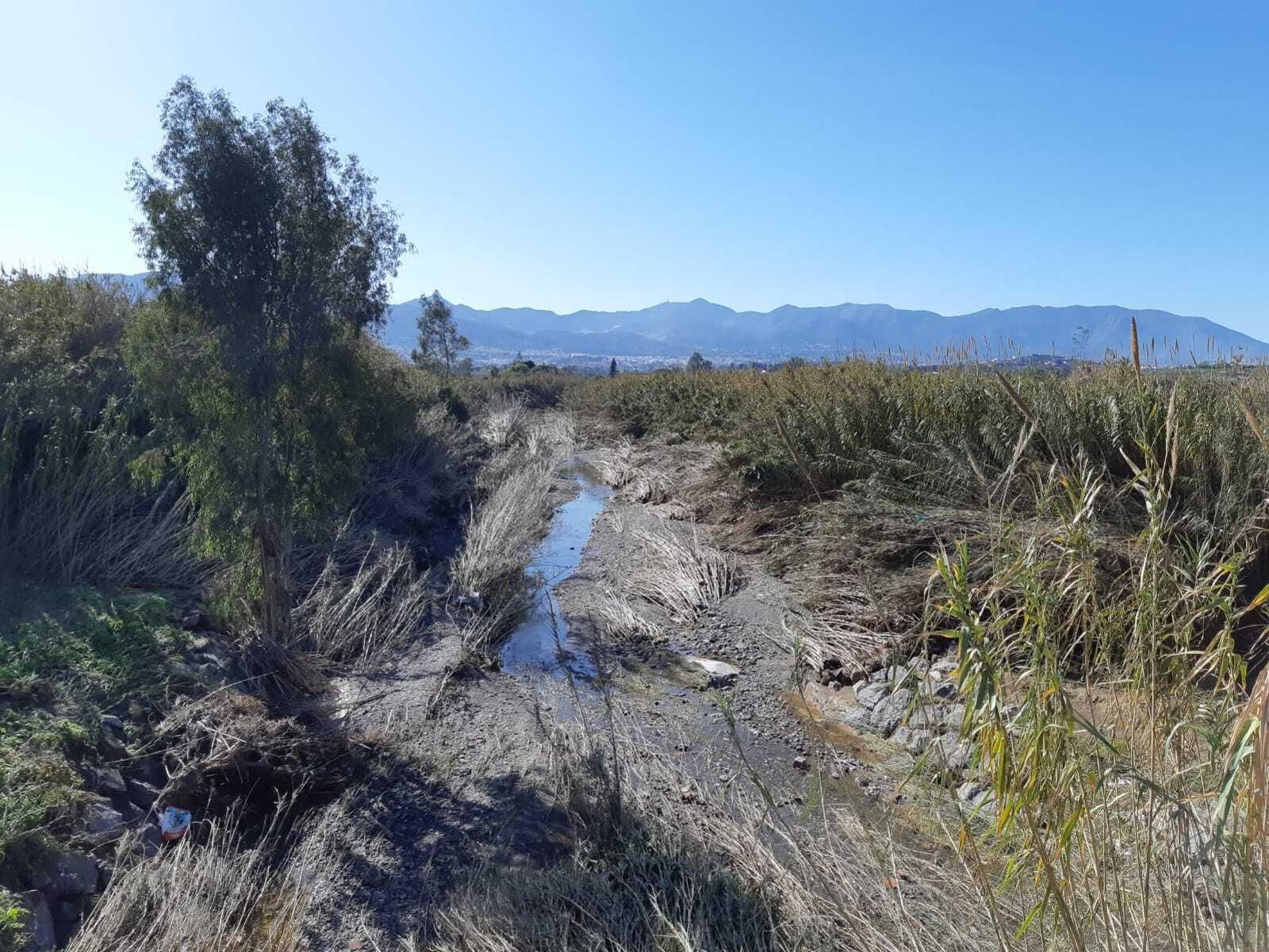 Imagen del paraje natural a la ribera del río