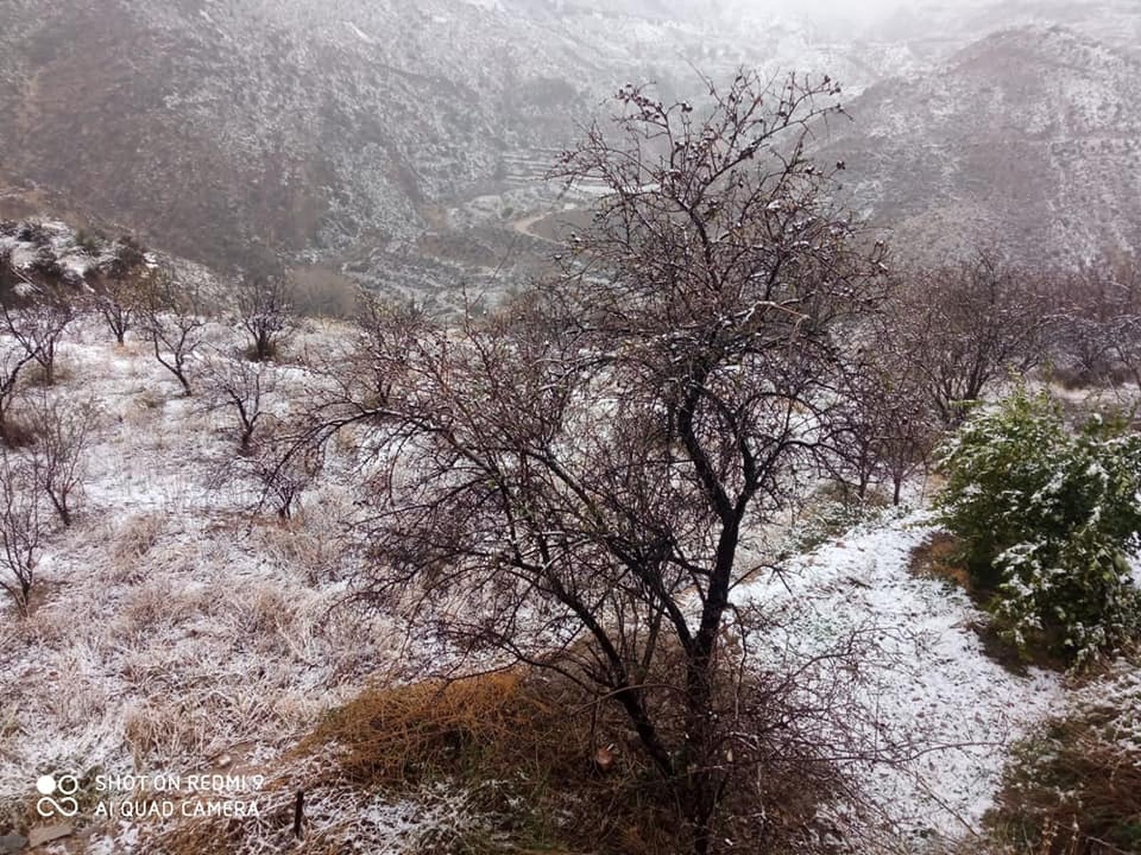 Primera gran nevada en Almería