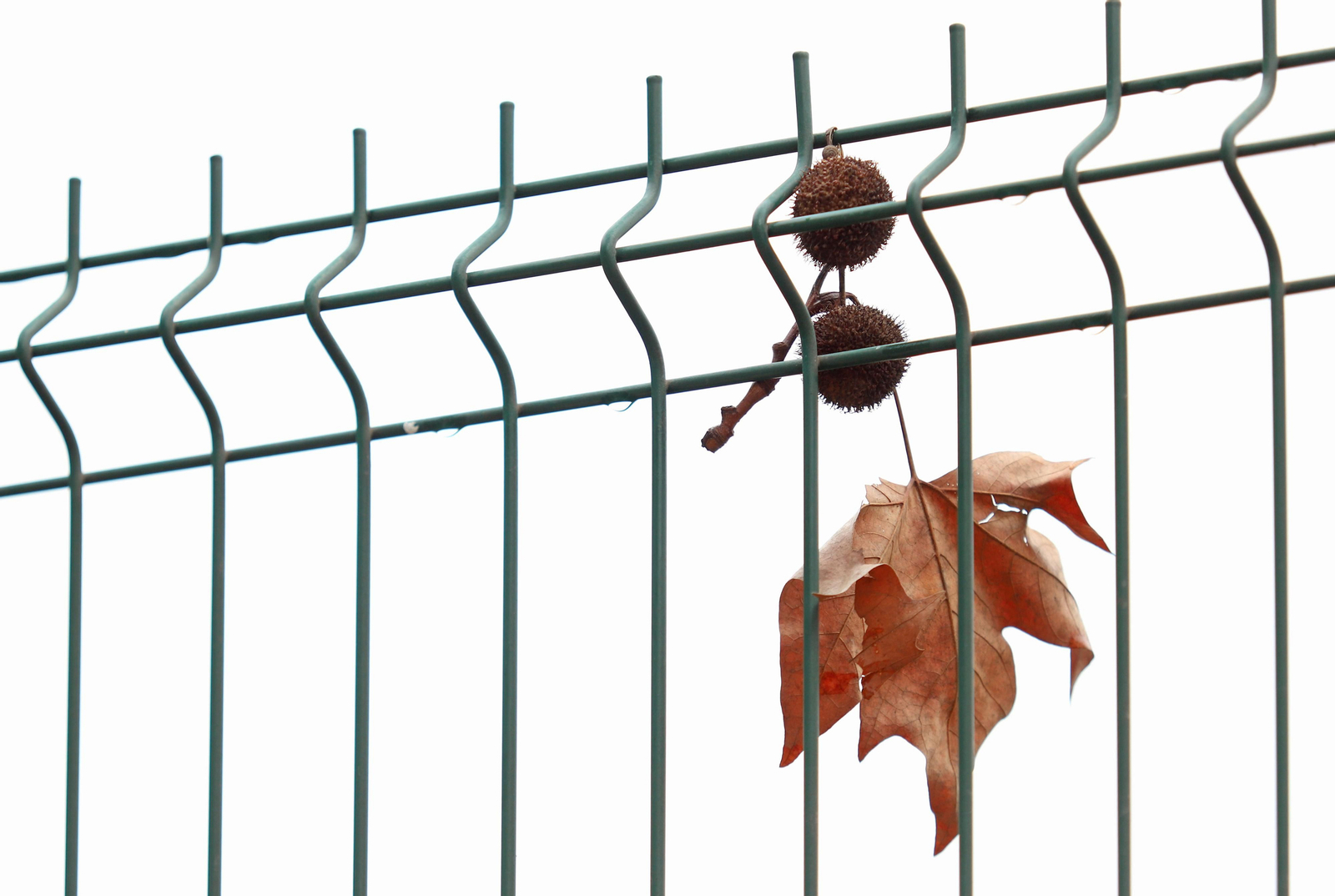 La mañana del sábado despide las lluvias de otoño en Huelva