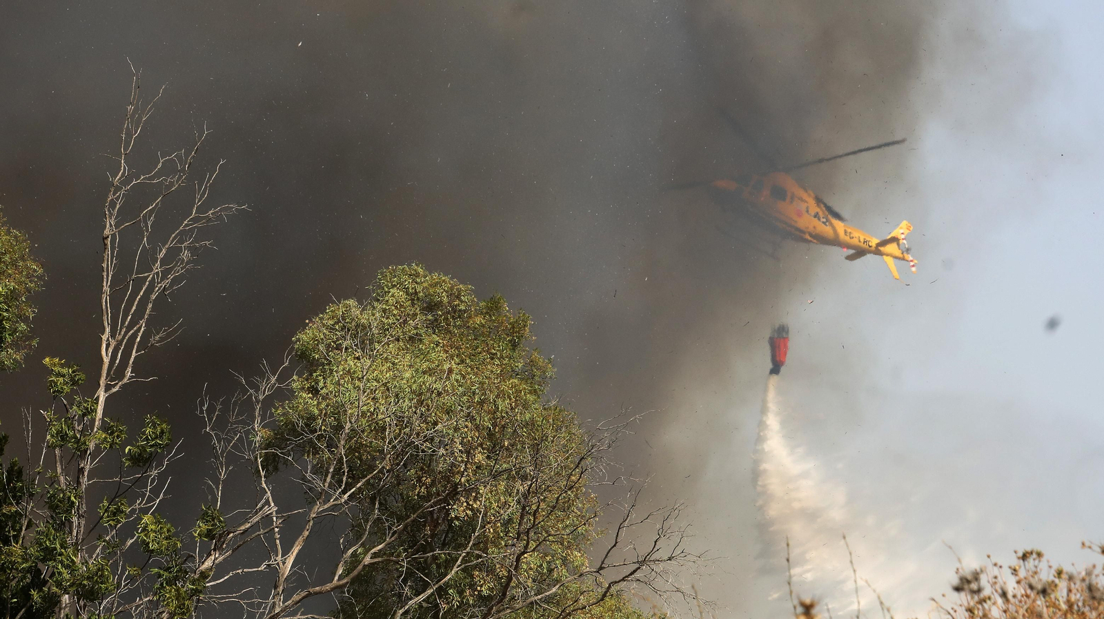 Grave incendio en la campiña de Jerez