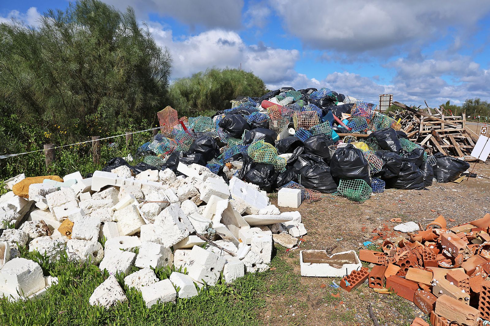 Imágenes de la Acción medioambiental de limpieza en la playa del Espigón, organizada por Gañafote Cup