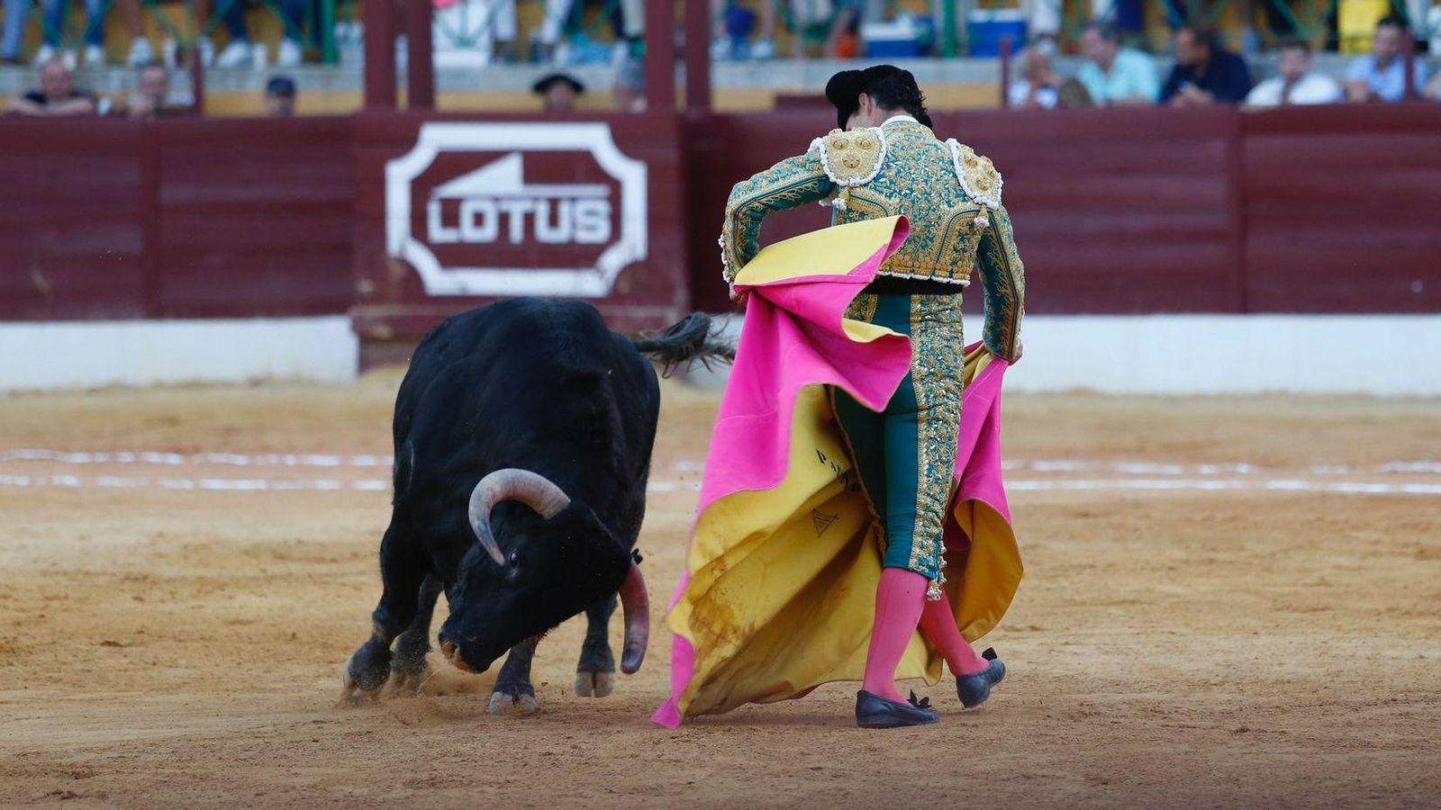 Pablo Aguado andándole a los toros con el capote. Pablo Aguado andándole a los toros con el capote.
