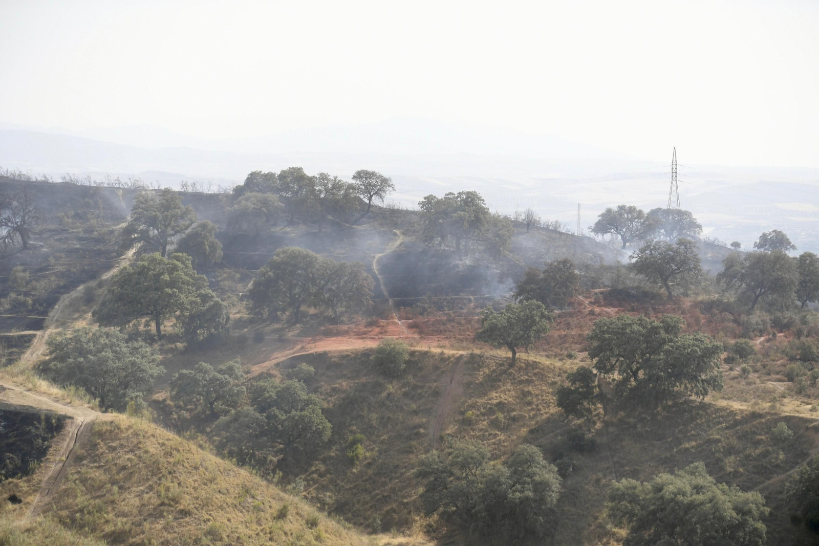 Las mejores imágenes del despliegue del Infoca en un incendio forestal en Jun