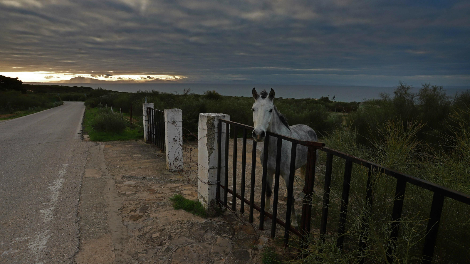 Las mejores fotos de Paloma Baja