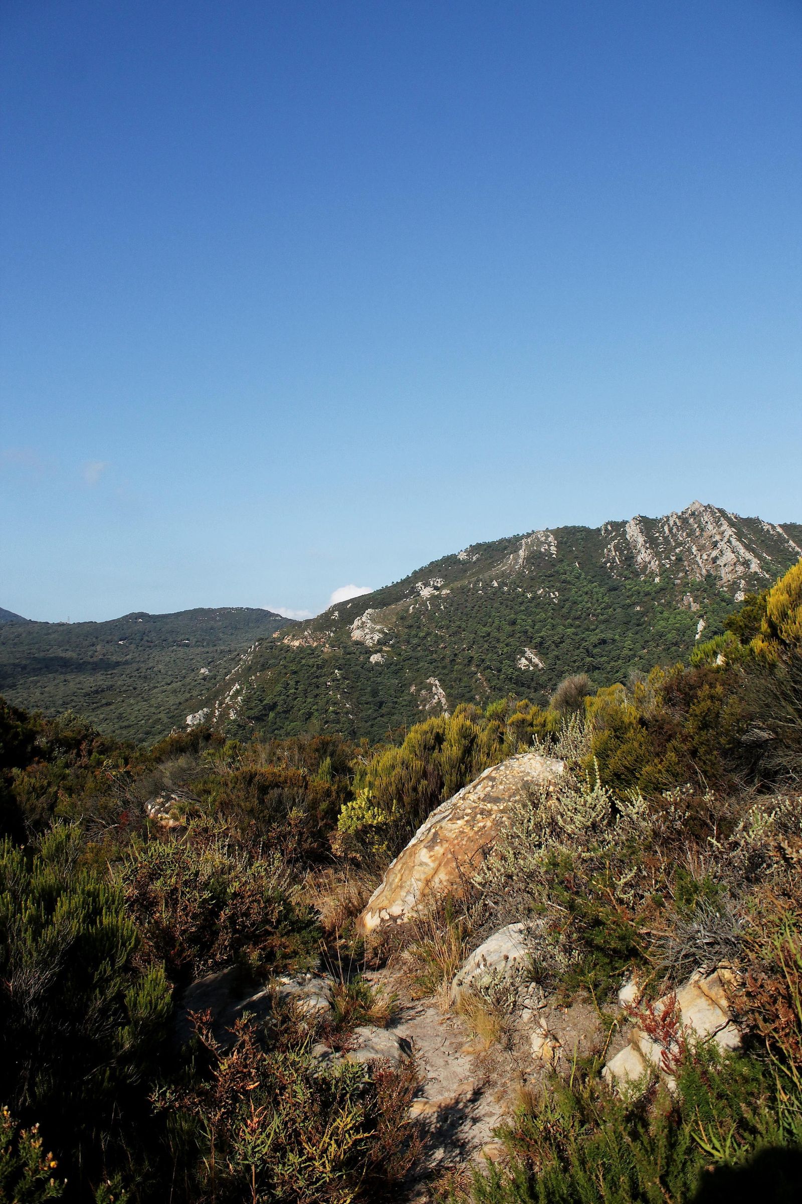 El Tajo del Viento, en un tramo del Camino de la Trocha.