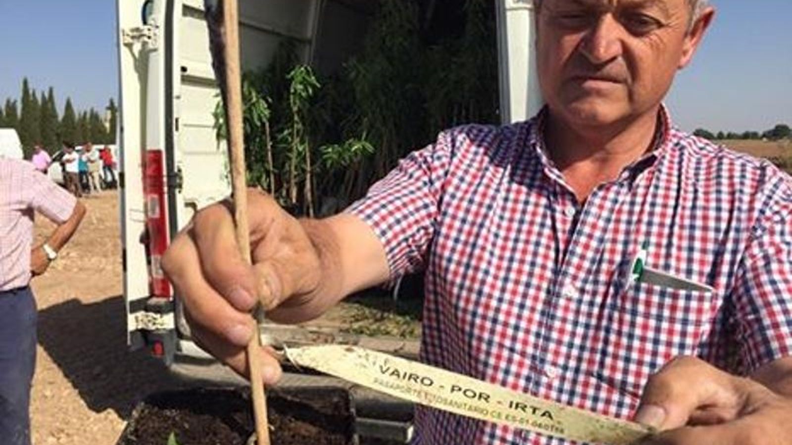 Cristóbal Aránega, gerente de Crisara, con una de las variedades protegidas.