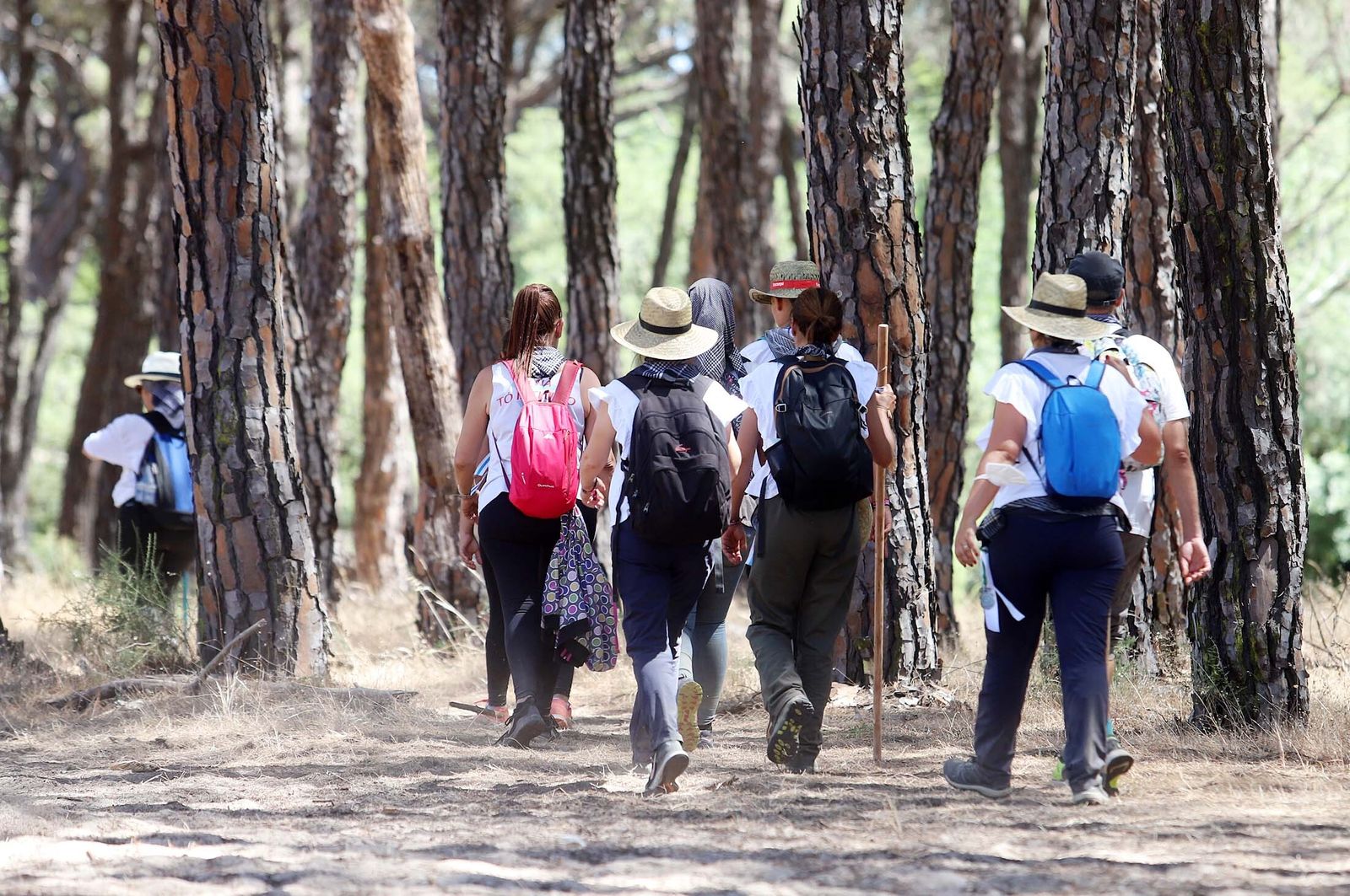Todos los peregrinos de la Hermandad de Huelva, en imágenes