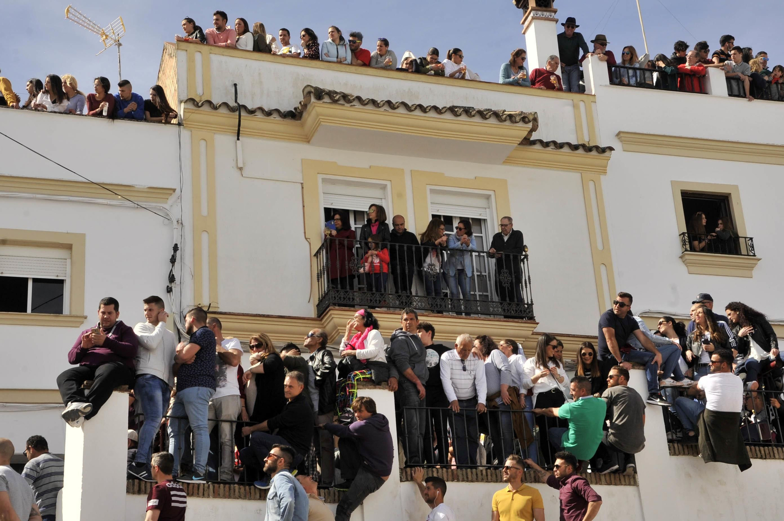 Imágenes del Toro del Aleluya en Arcos