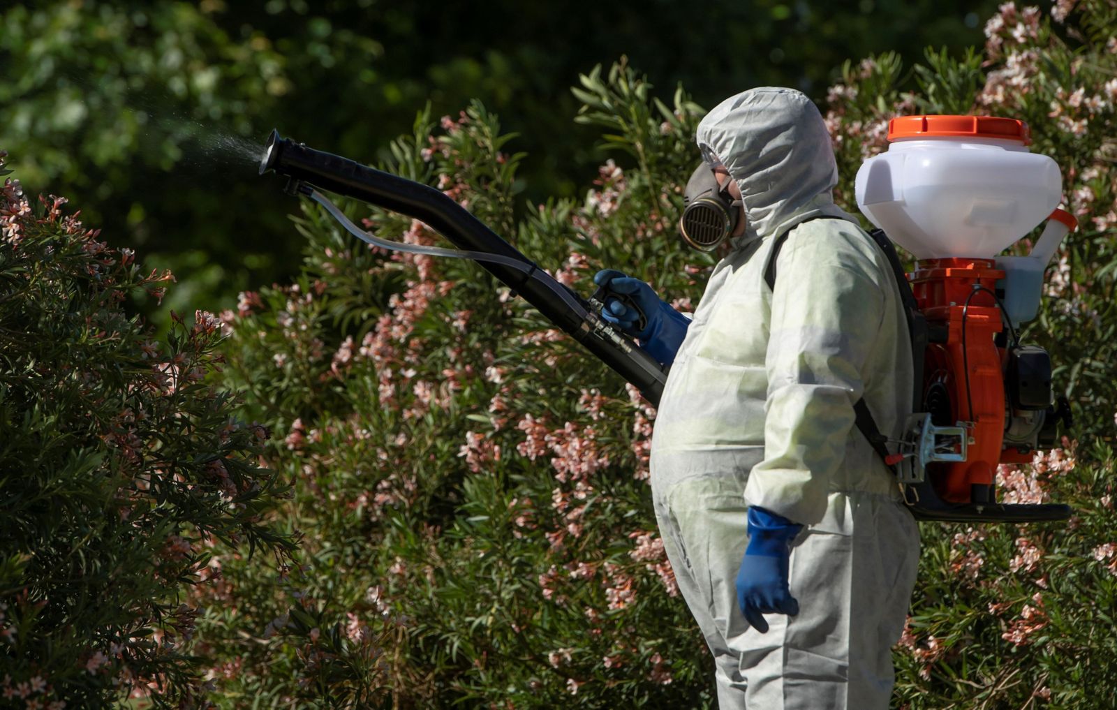 El Hospital Virgen de las Nieves de Granada confirma el primer positivo de virus Nilo  en Andalucía