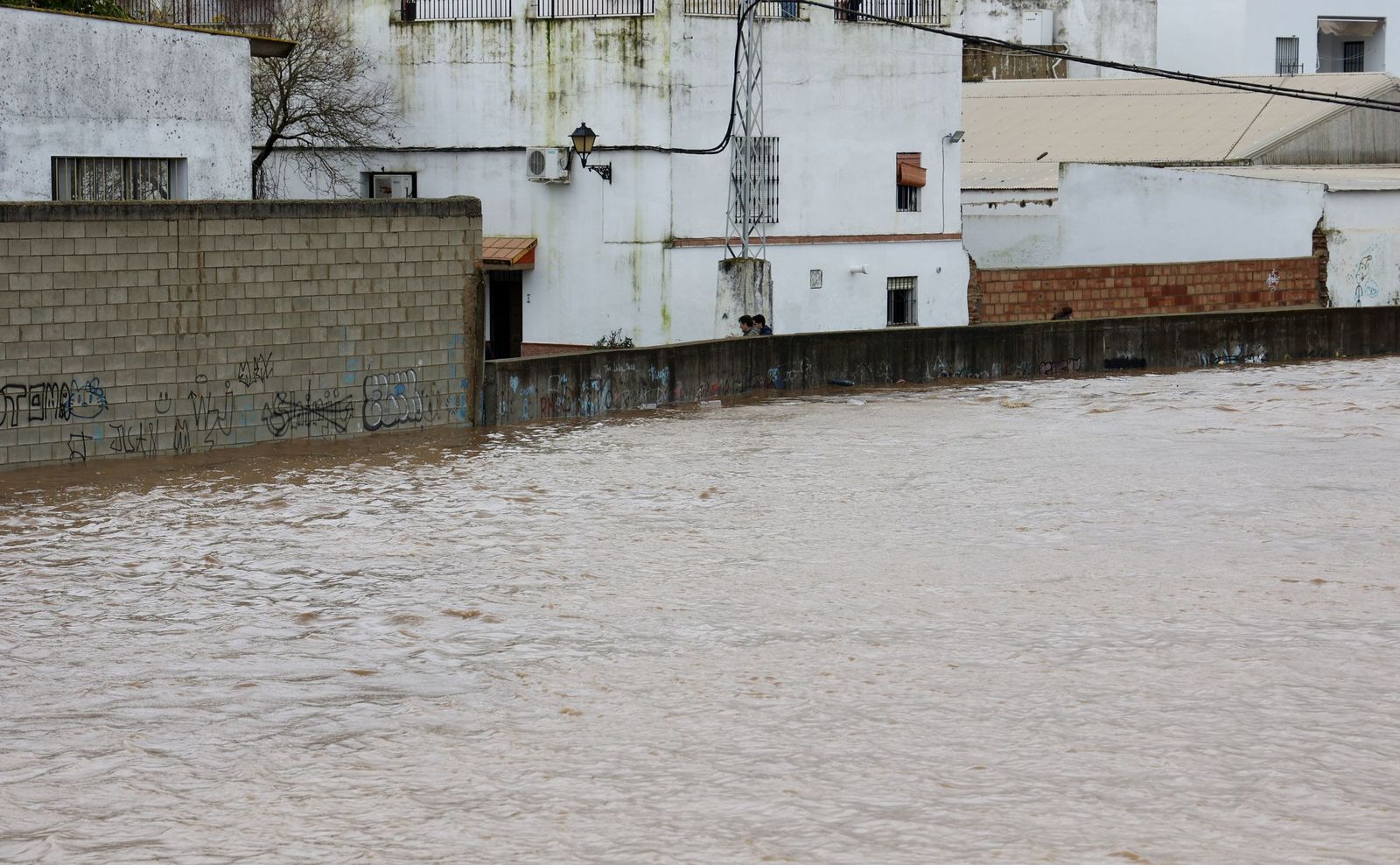 Lora del Río, ante la crecida del Guadalquivir: así lo contiene el muro de defensa