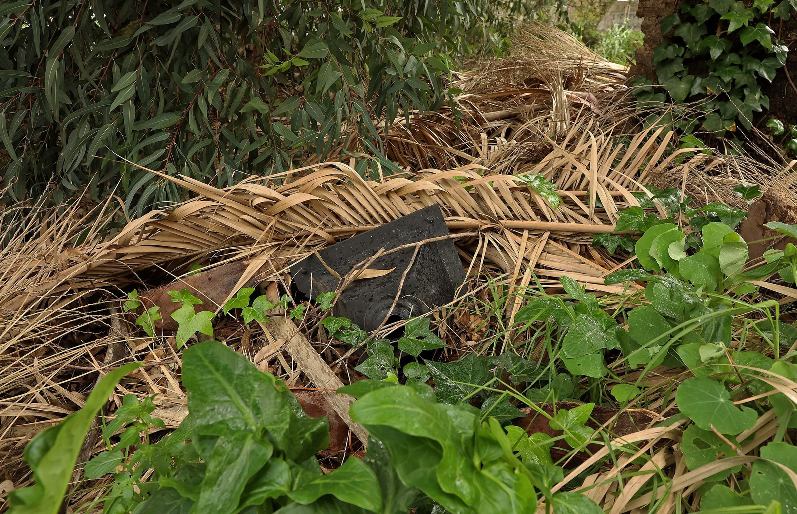 Fotos de las deficiencias en los juzgados del Palacio de Marzales de Algeciras