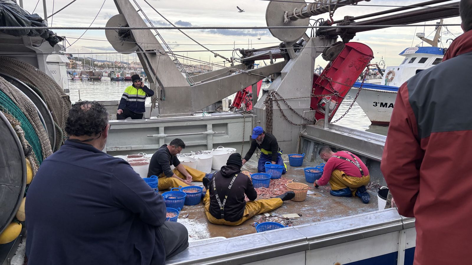 Imagen de pescadores trabajando en el Puerto de Caleta de Vélez