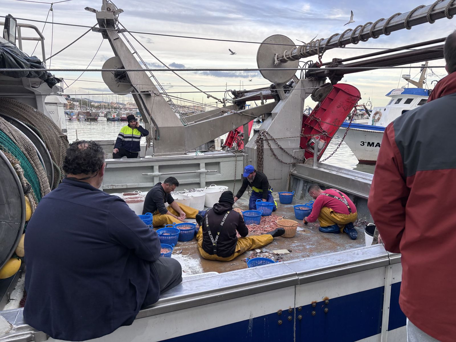 Imagen de pescadores trabajando en el Puerto de Caleta de Vélez
