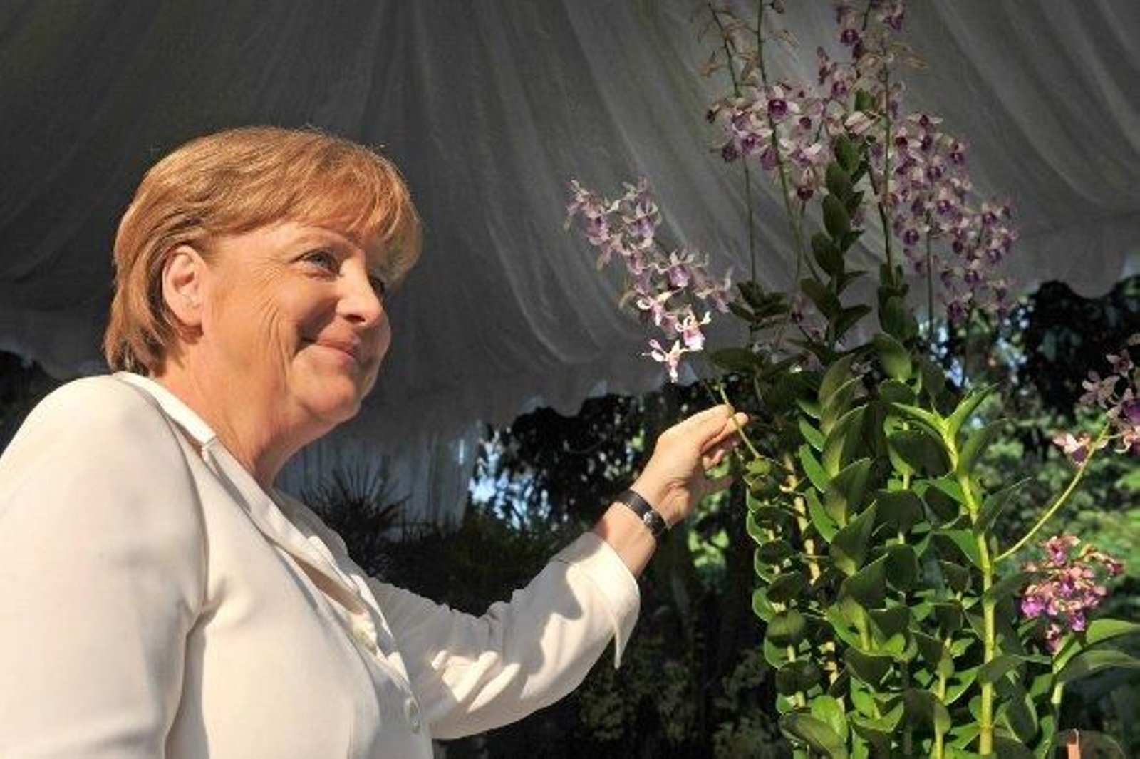Merkel promete a Zapatero que estudiará ayudas de la UE a los agricultores españoles