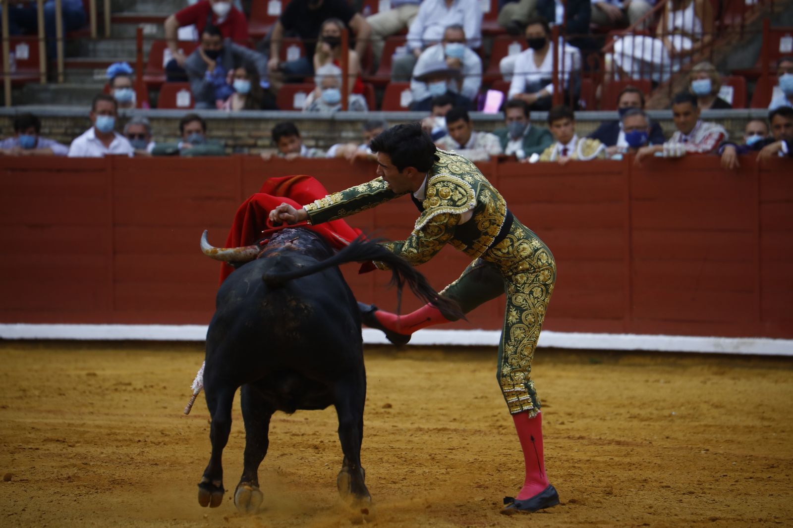 Las fotografías de la novillada con picadores de la Feria Taurina de Córdoba