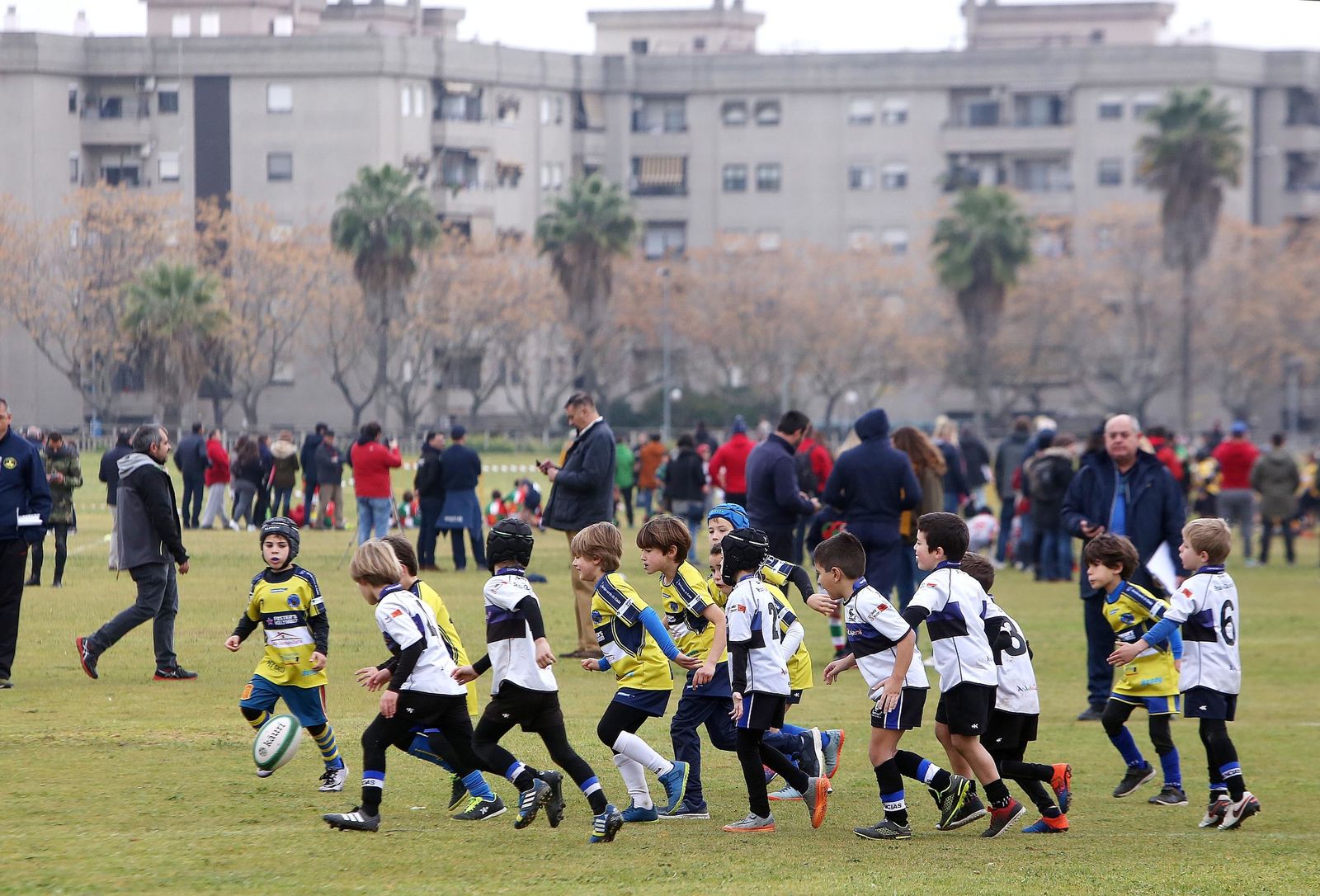 I Torneo Andaluz de Rugby Gradual en la Pradera Hípica