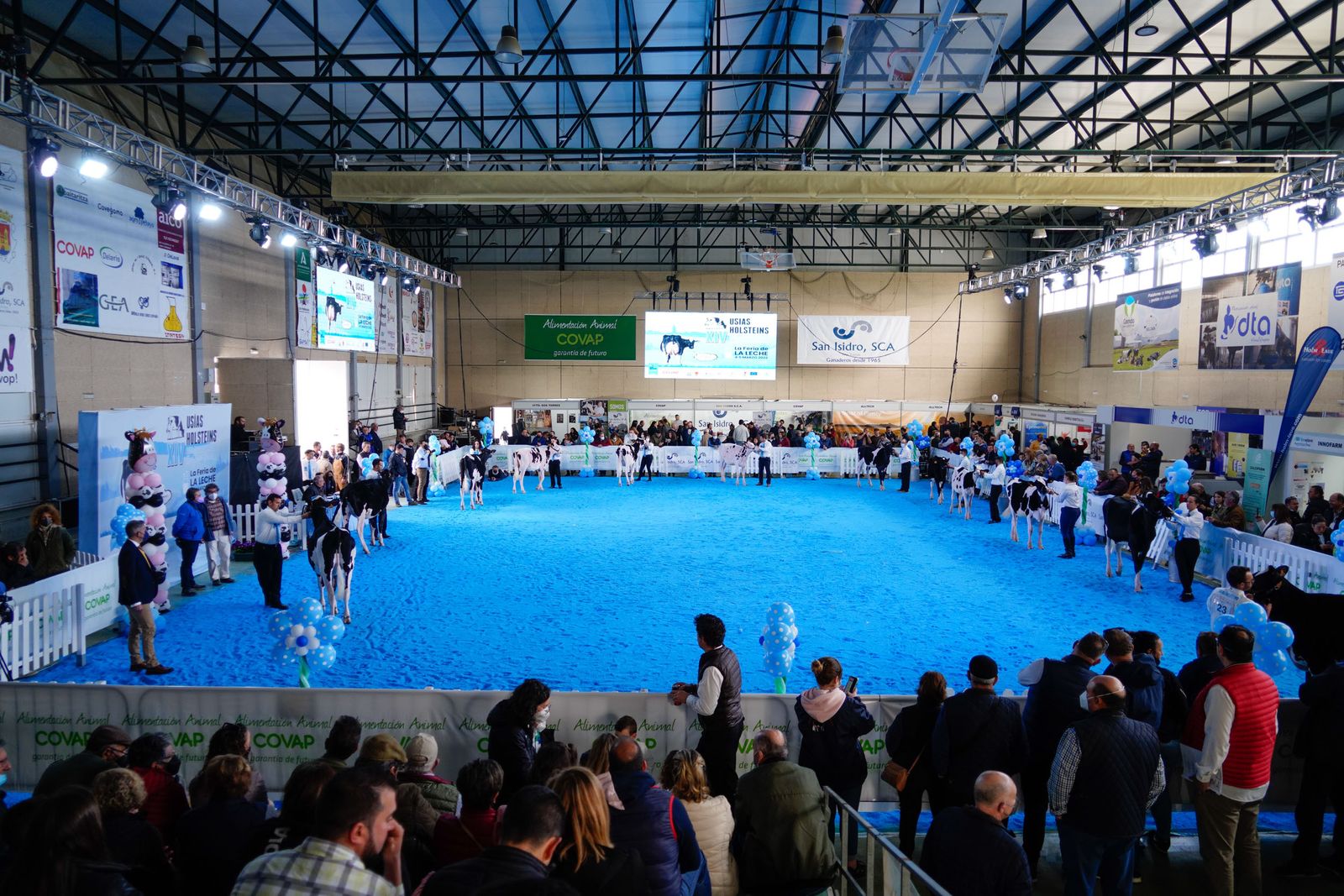 La Feria de Ganado Frisón Usías Holsteins de Dos Torres, en fotografías