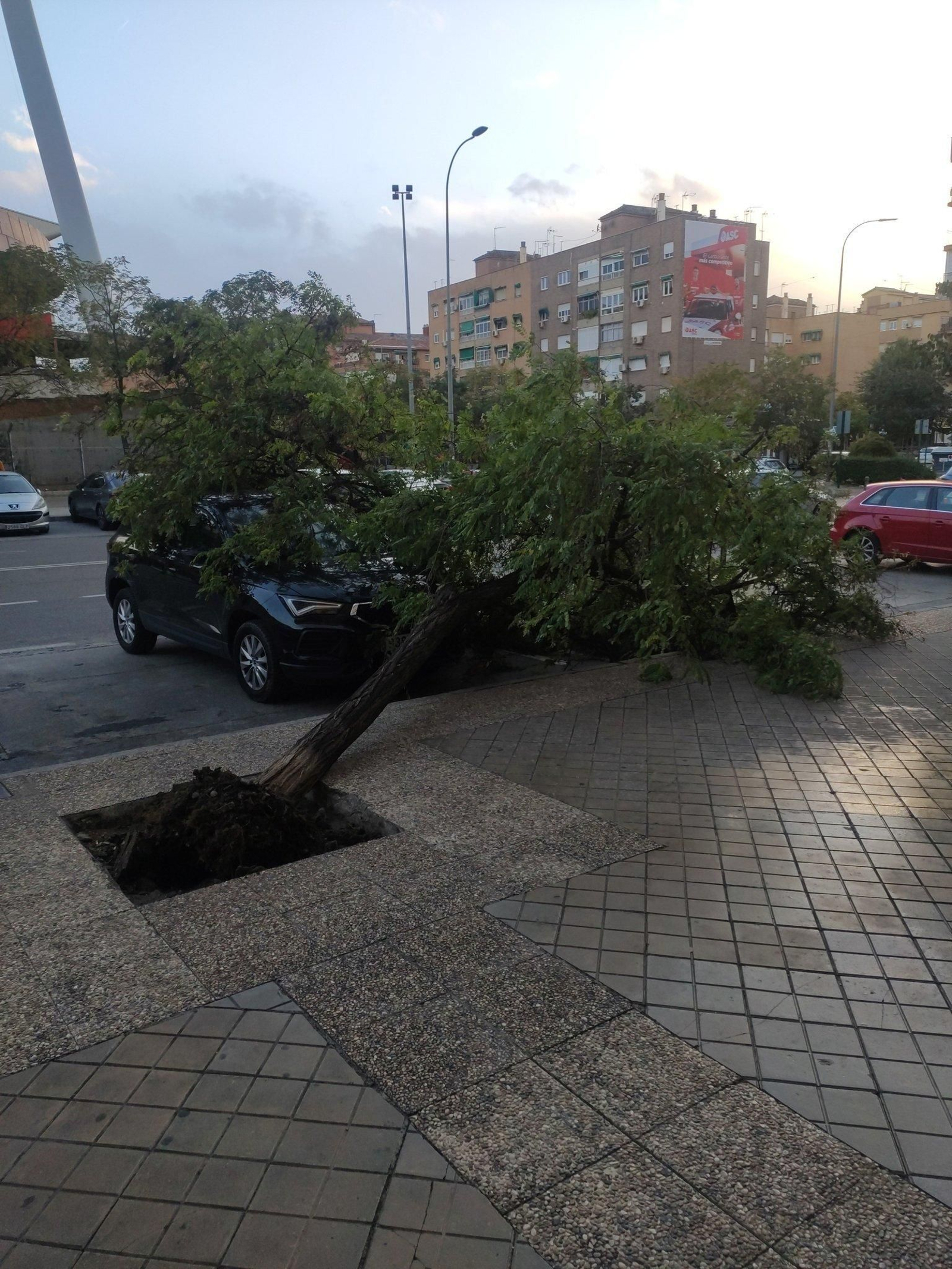 Fotos: así está siendo el fuerte viento de la borrasca Bernard en Granada