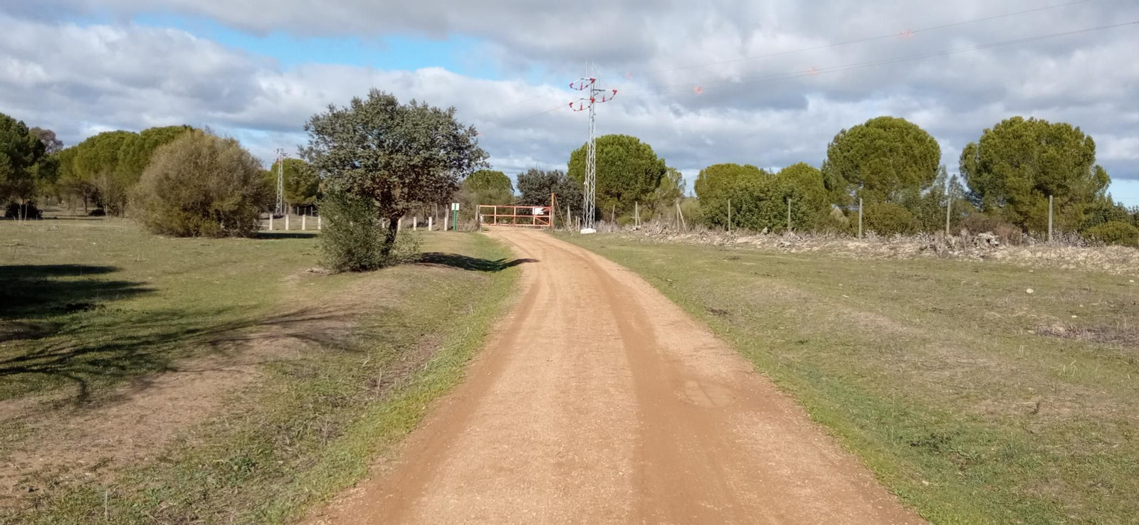 Las imágenes de la ruta ornitológica del corredor verde