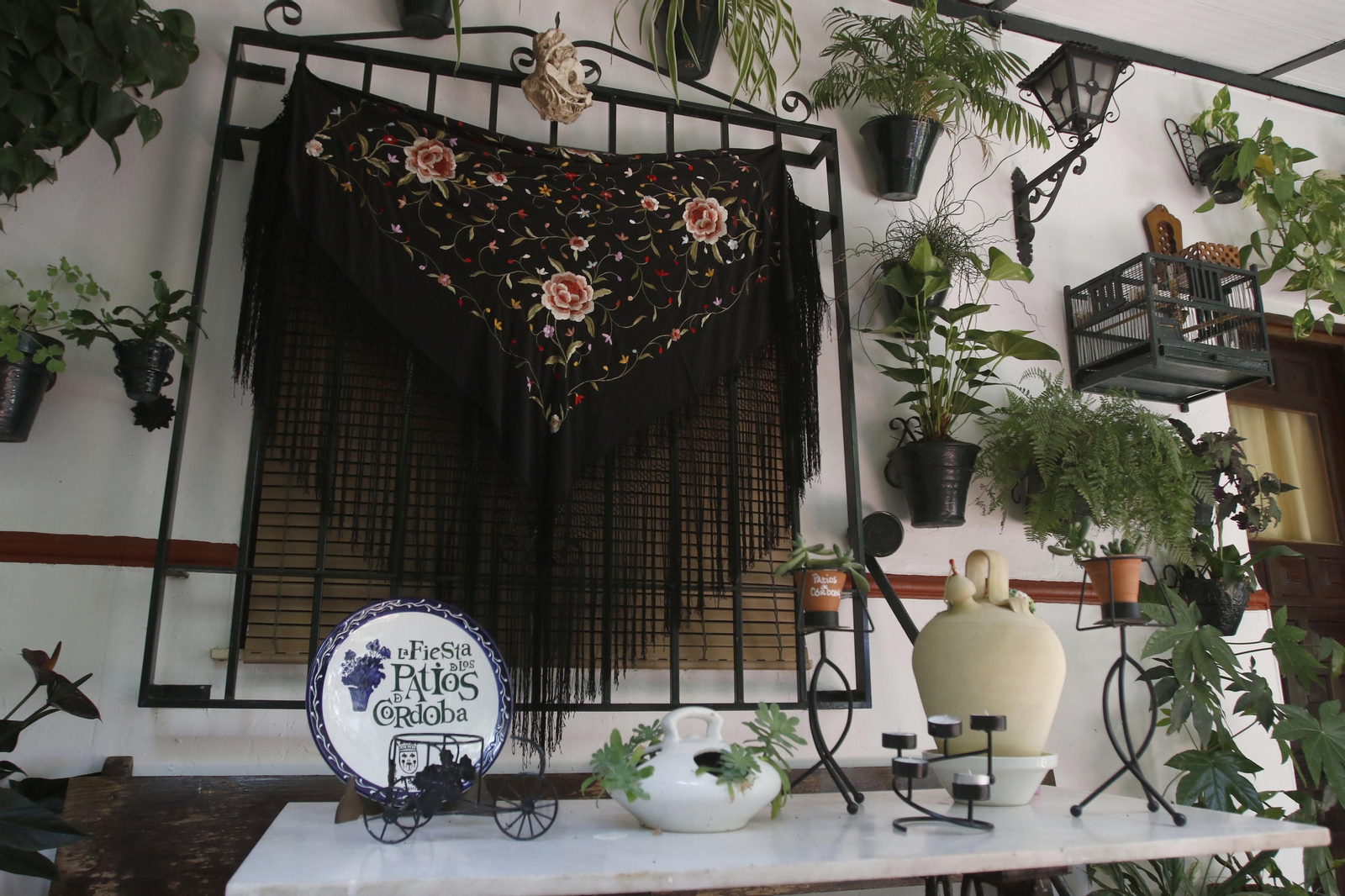 Las fotos de los Patios de Córdoba en este atípico mes de mayo