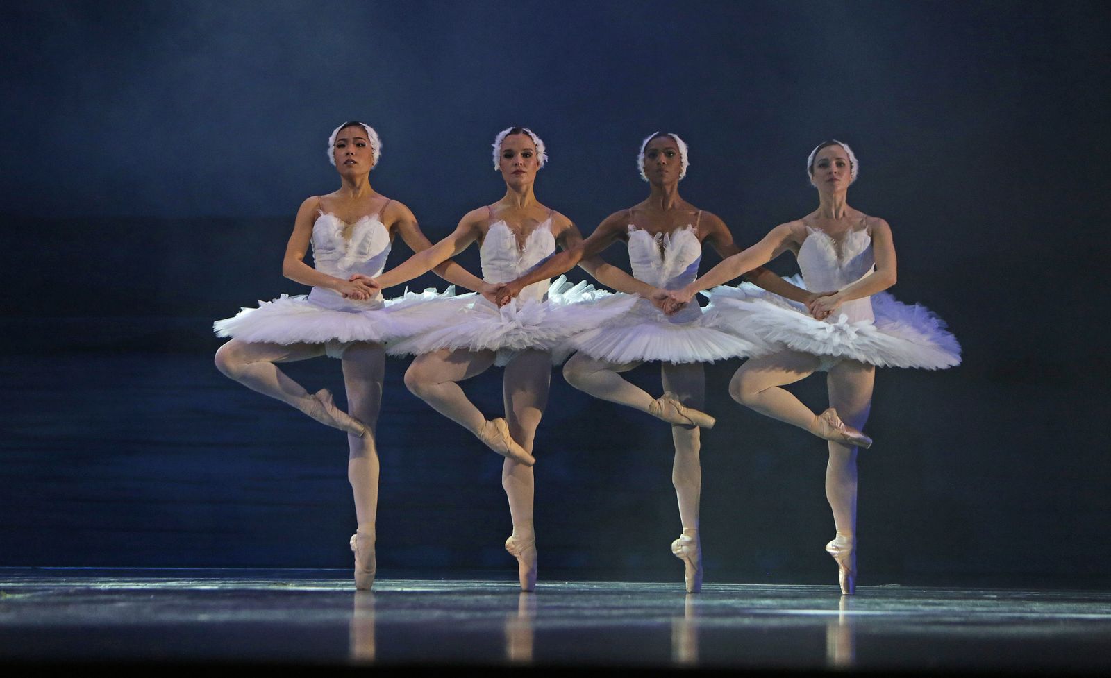 EL LAGO DE LOS CISNES