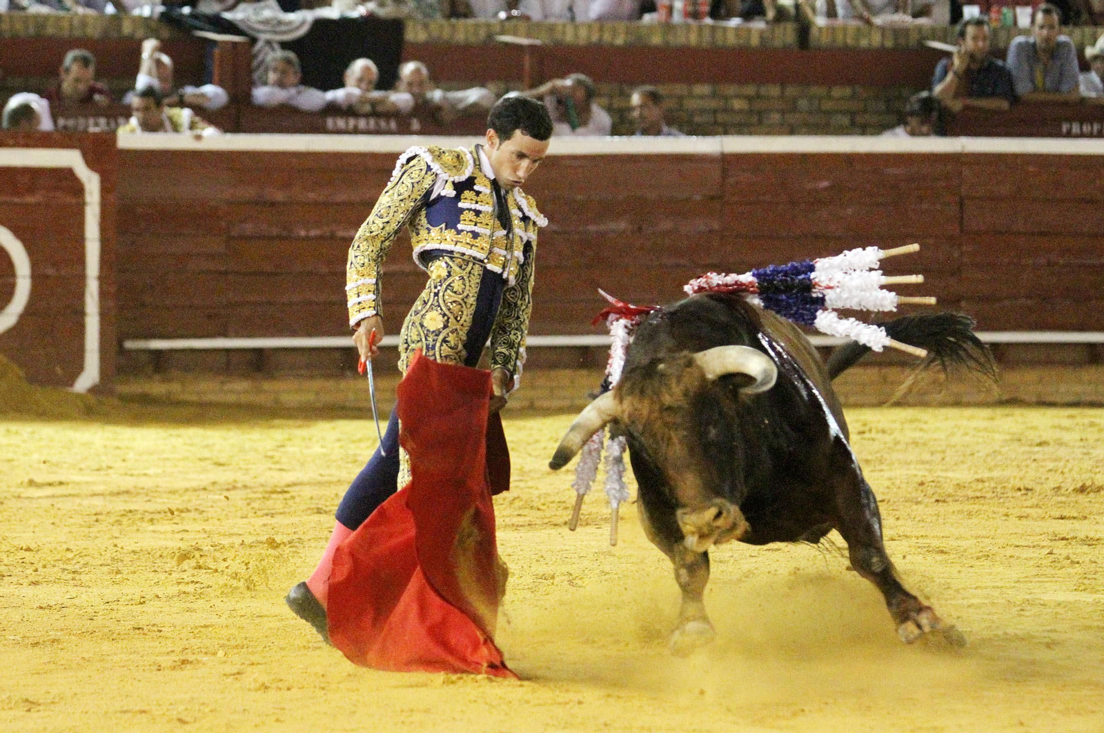 David de Miranda durante la corrida de esta tarde en la Plaza de Toros La Merced