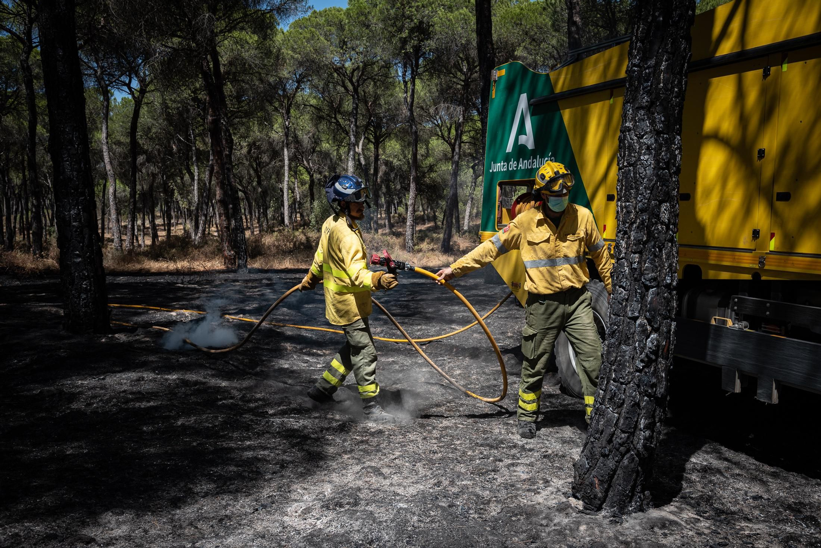 Imágenes de las labores de extinción del incendio de Bonares