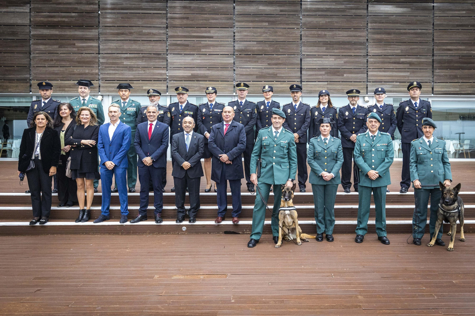 Premiados por el 55º aniversario de la Constitución Española.